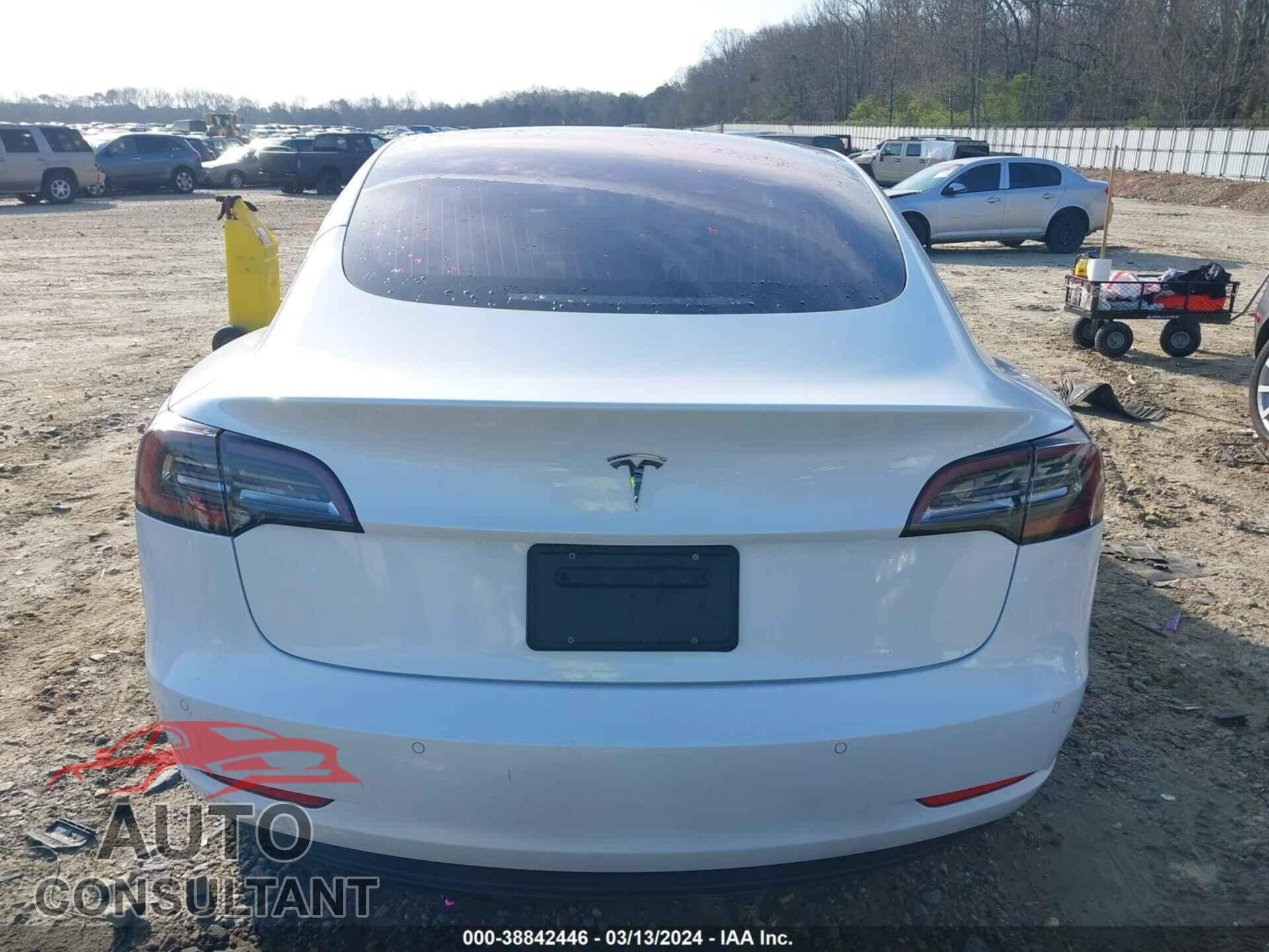 TESLA MODEL 3 2019 - 5YJ3E1EA2KF309799