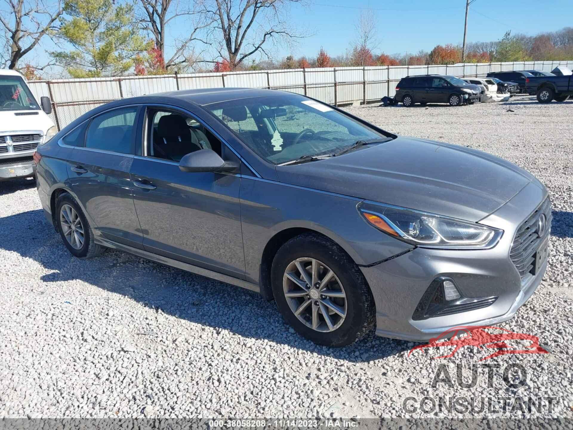 HYUNDAI SONATA 2019 - 5NPE24AF4KH806911