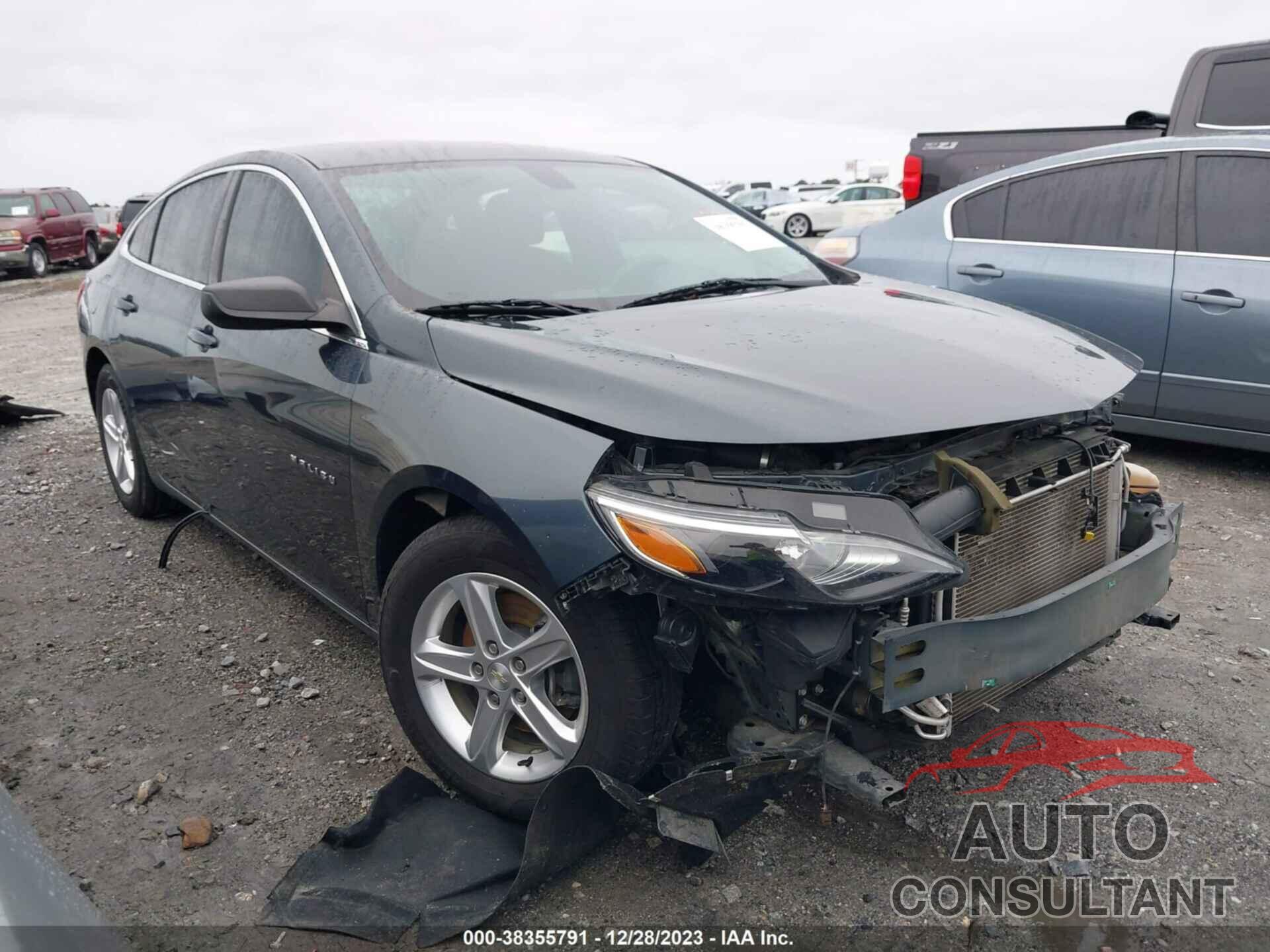 CHEVROLET MALIBU 2019 - 1G1ZB5ST2KF177146