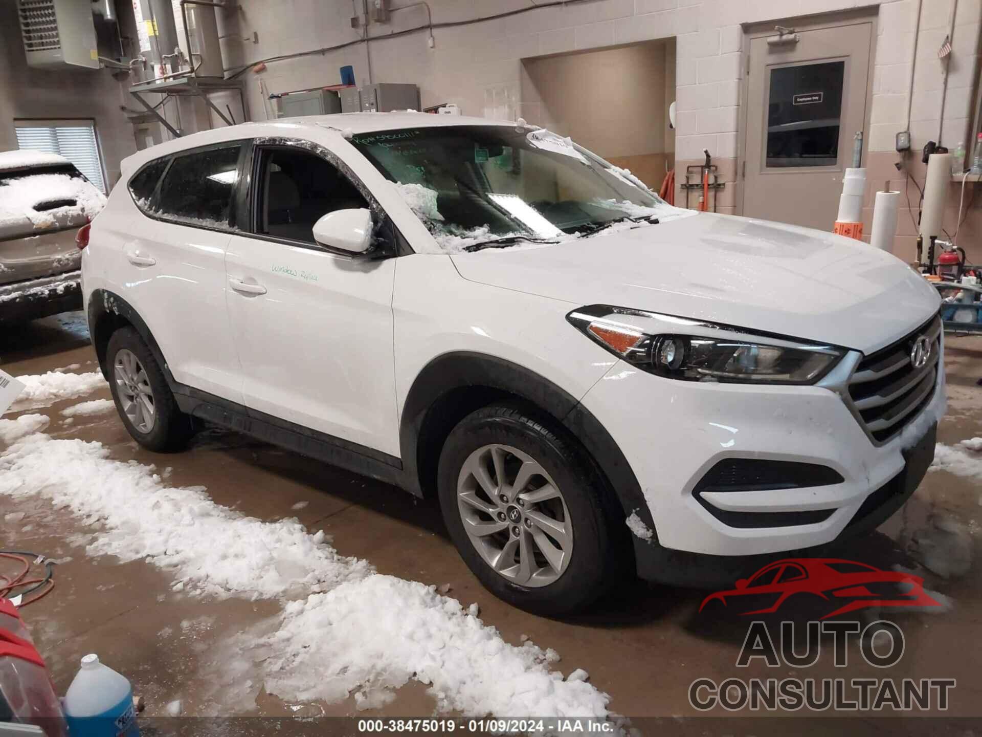 HYUNDAI TUCSON 2017 - KM8J23A45HU579259