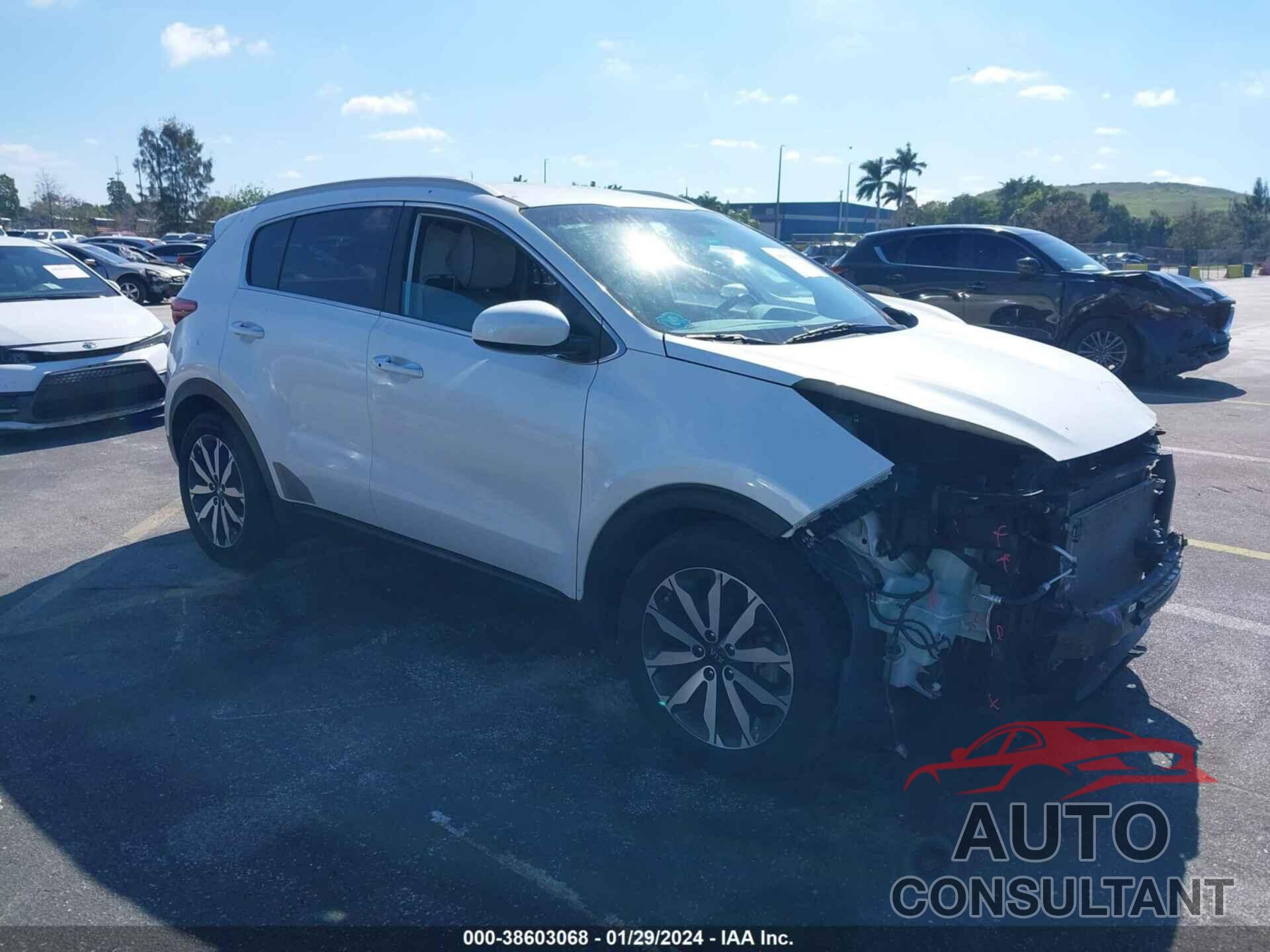 KIA SPORTAGE 2017 - KNDPN3AC7H7253653