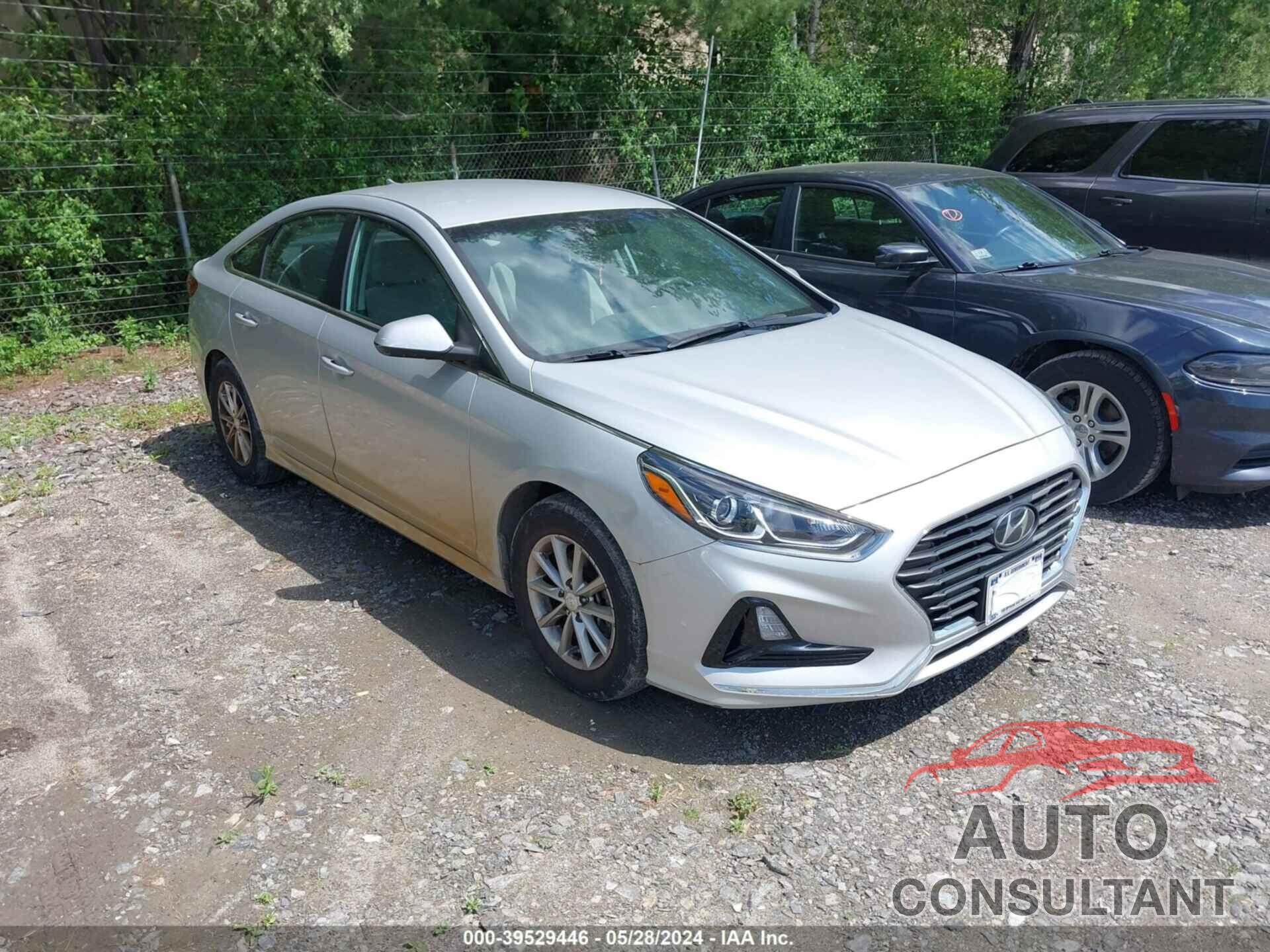 HYUNDAI SONATA 2019 - 5NPE24AF2KH781314