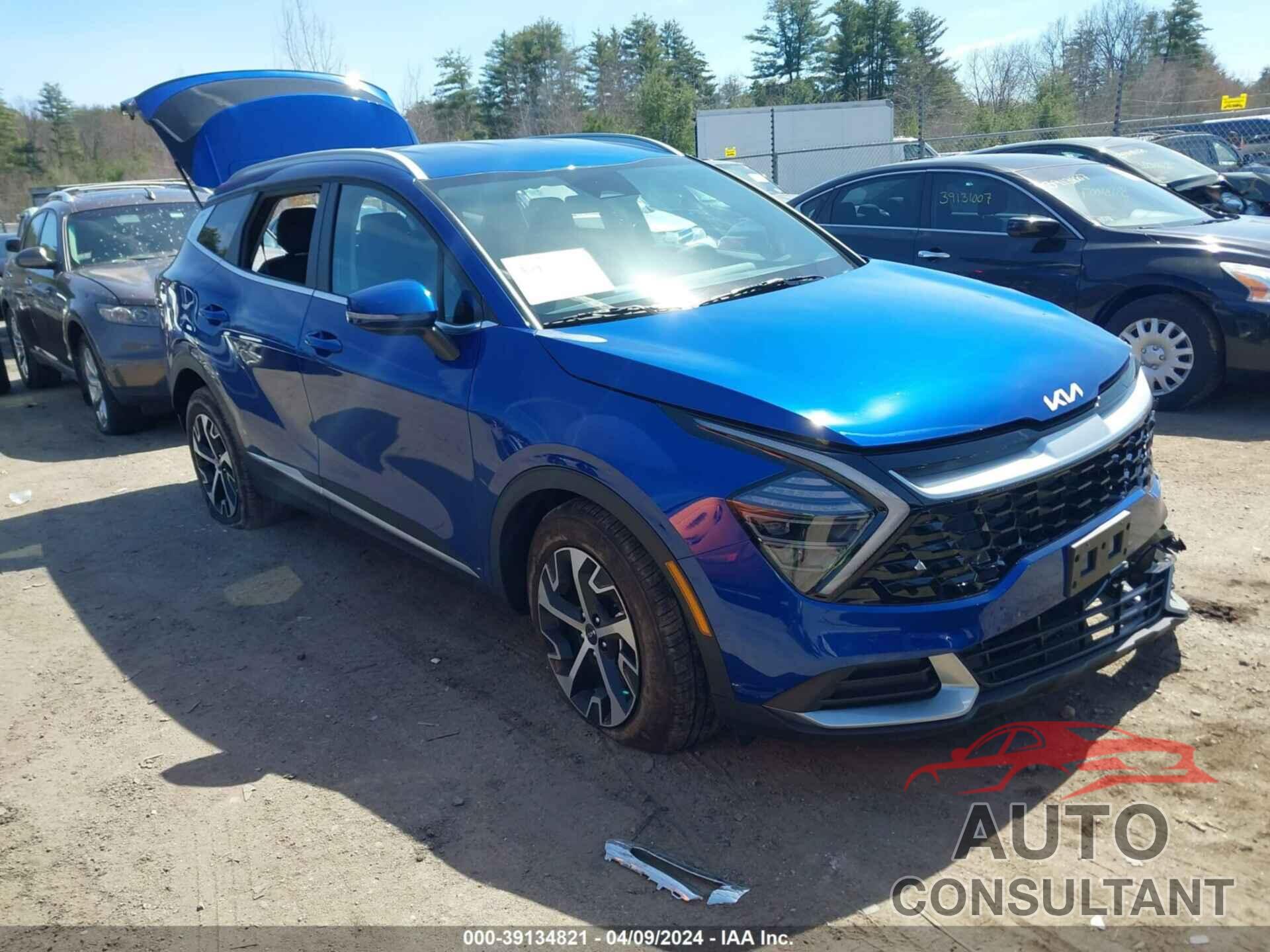 KIA SPORTAGE 2024 - 5XYK3CDF5RG188974