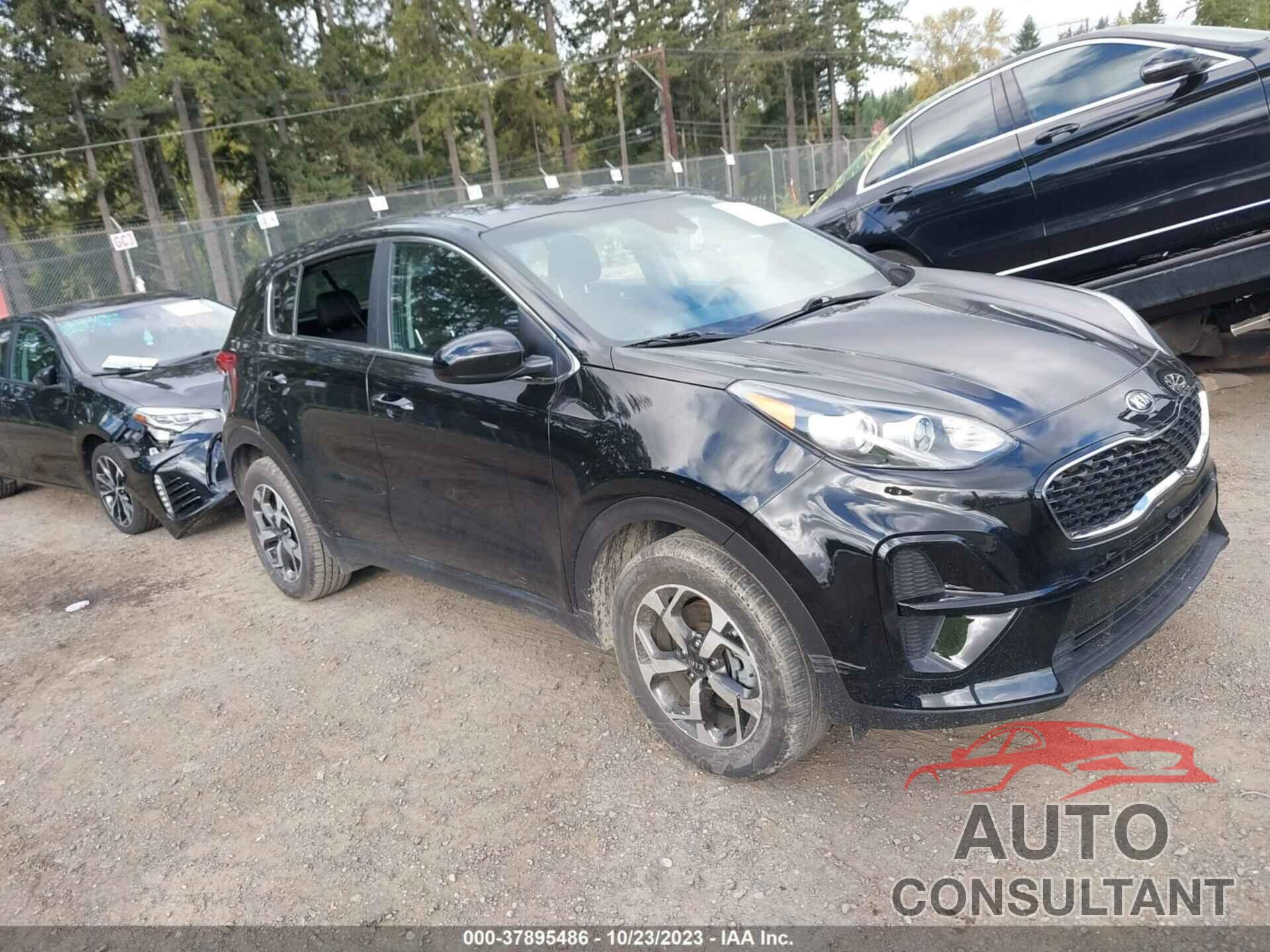 KIA SPORTAGE 2022 - KNDPM3AC5N7024029