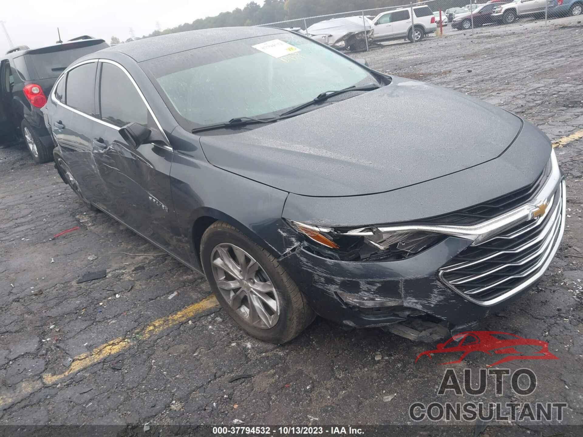 CHEVROLET MALIBU 2019 - 1G1ZD5ST0KF172957
