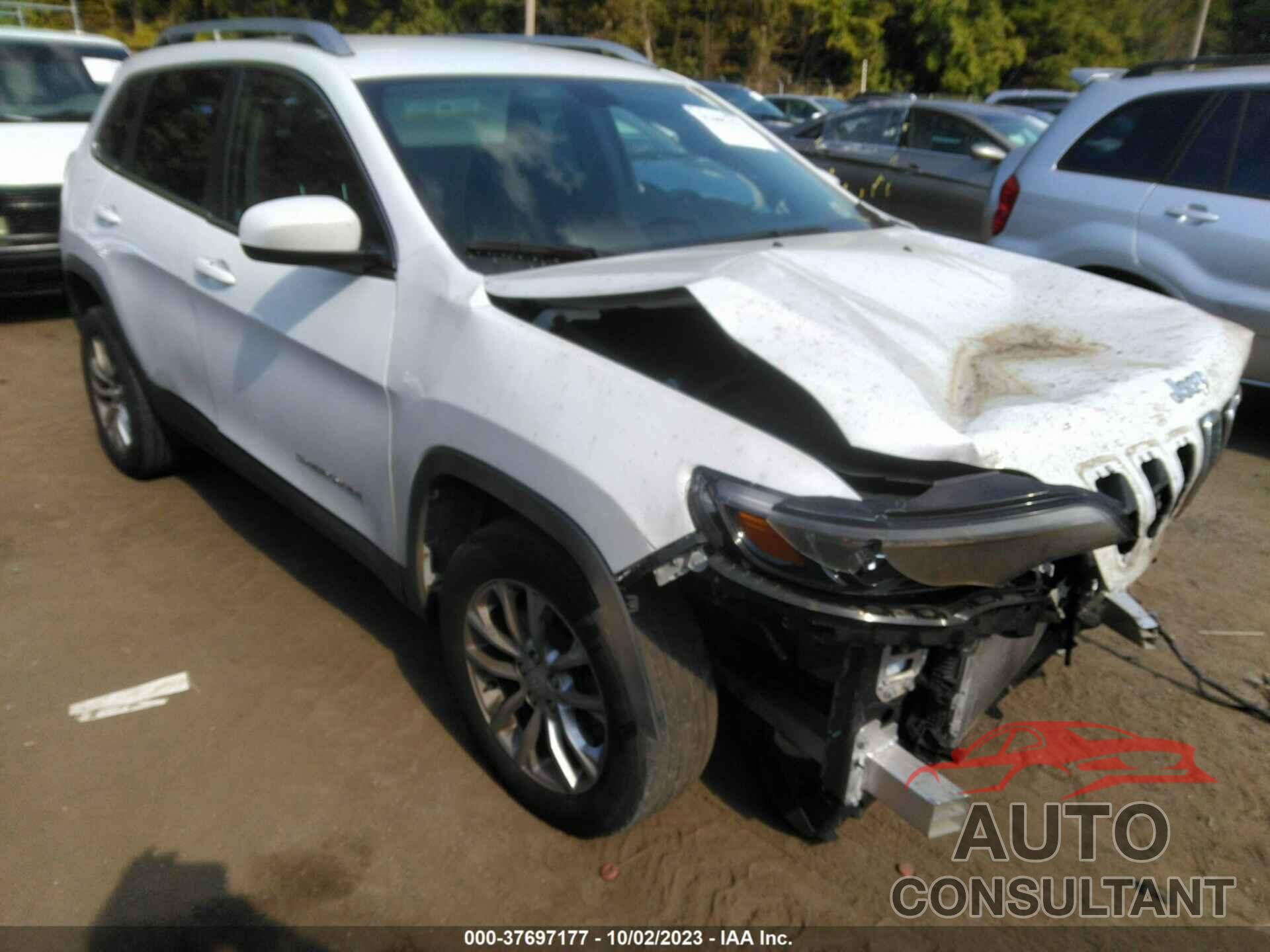 JEEP CHEROKEE 2019 - 1C4PJLCB4KD381888