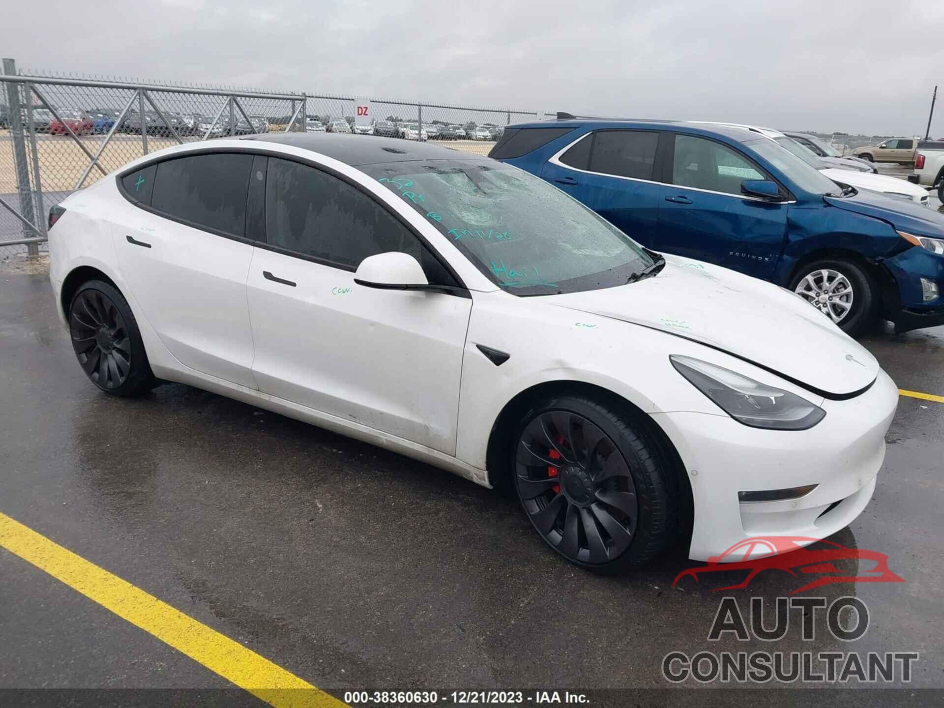 TESLA MODEL 3 2021 - 5YJ3E1EC6MF031509