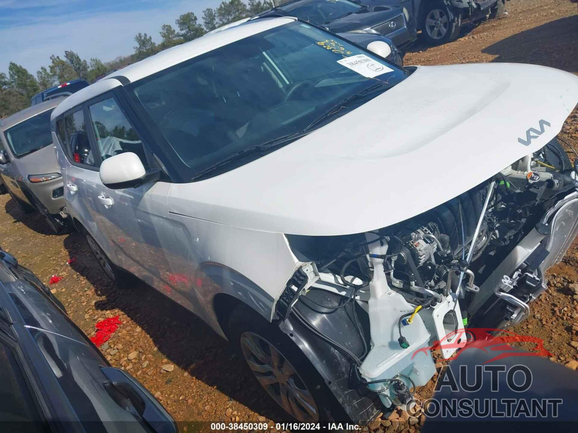 KIA SOUL 2022 - KNDJ23AU2N7800329