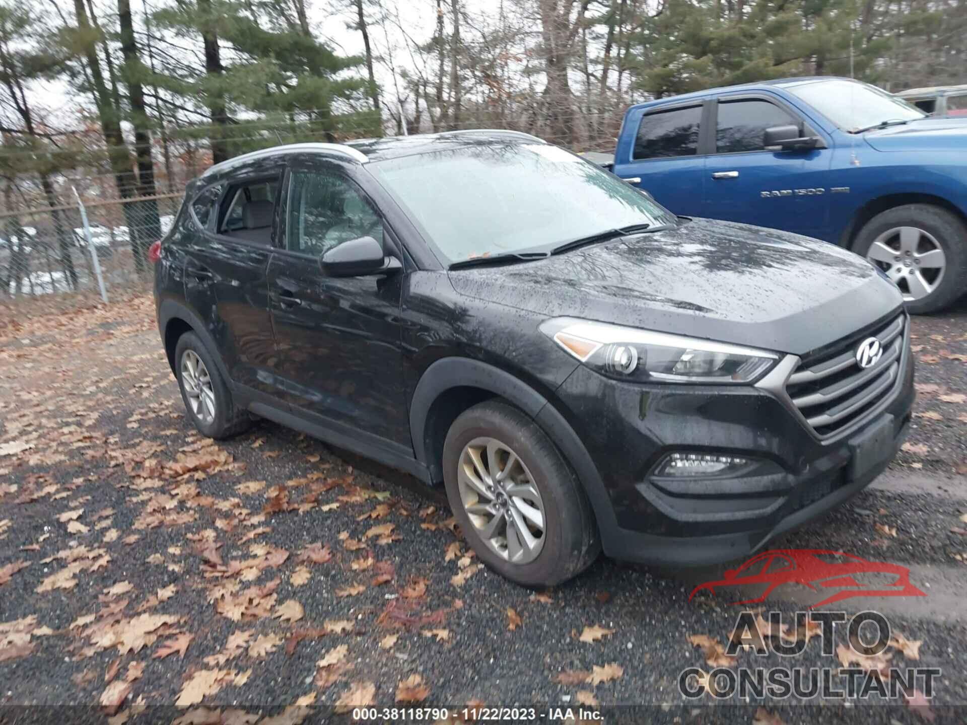 HYUNDAI TUCSON 2016 - KM8J33A46GU059180