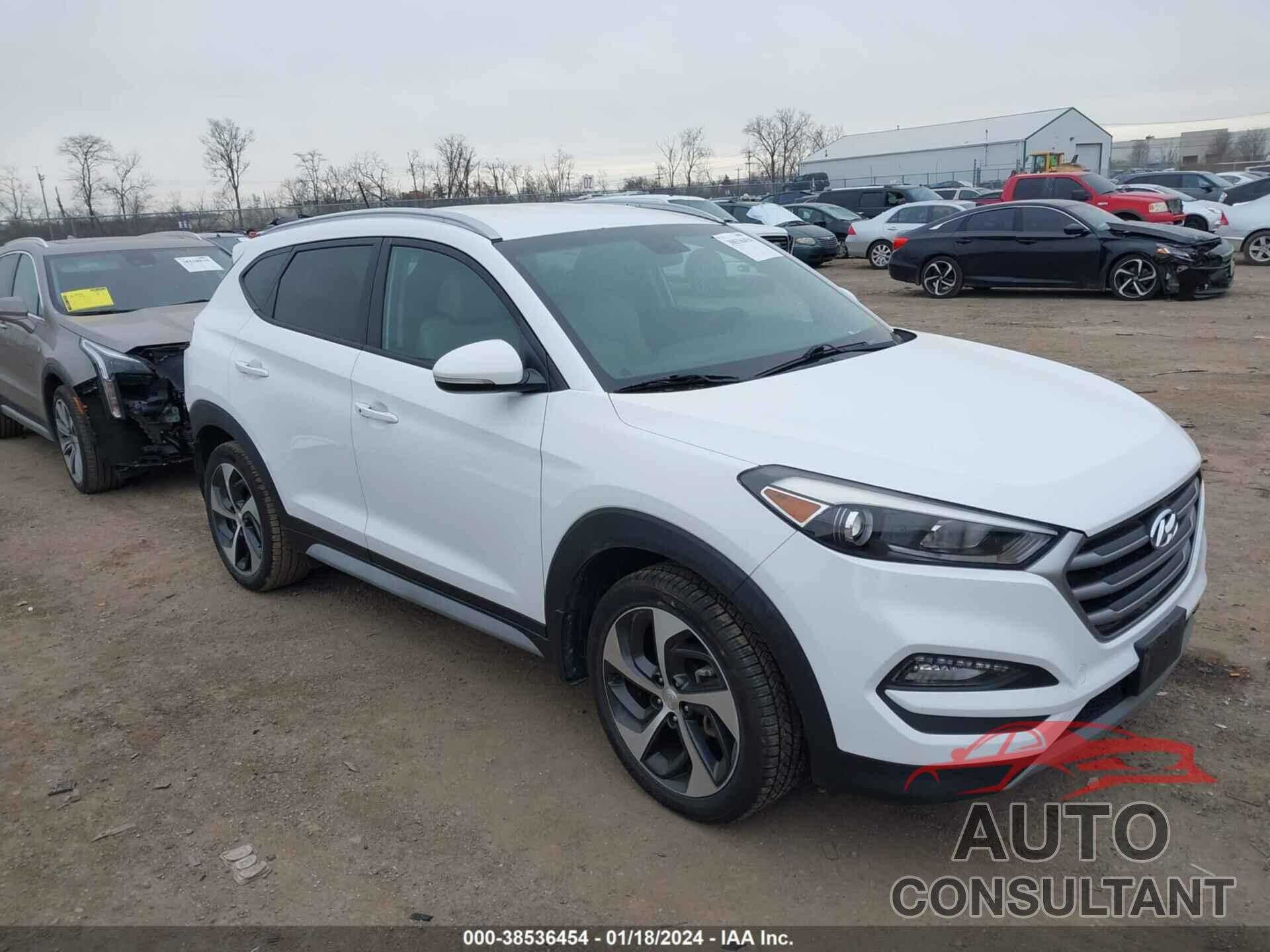 HYUNDAI TUCSON 2017 - KM8J33A24HU386404