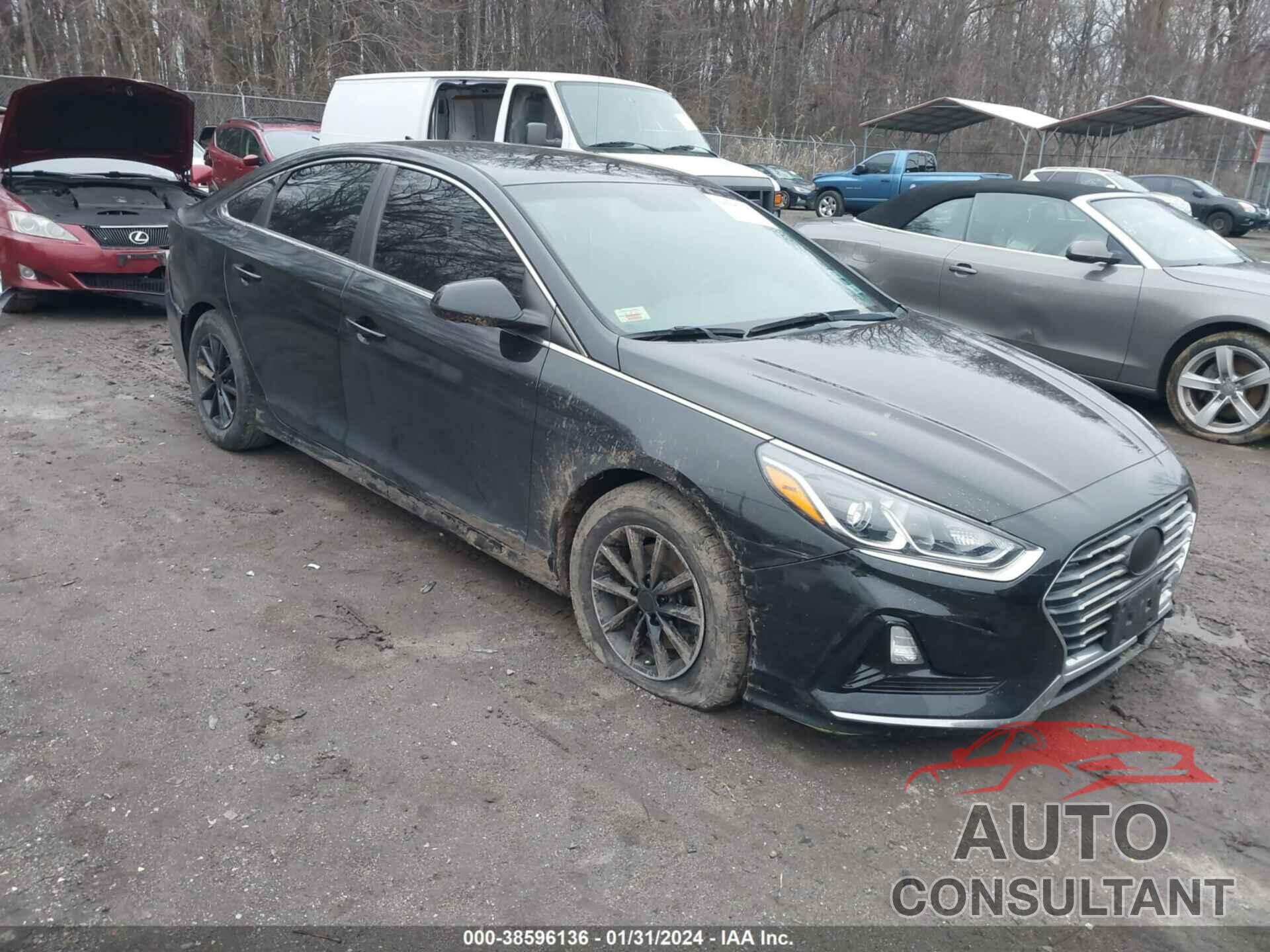 HYUNDAI SONATA 2018 - 5NPE24AF0JH606509