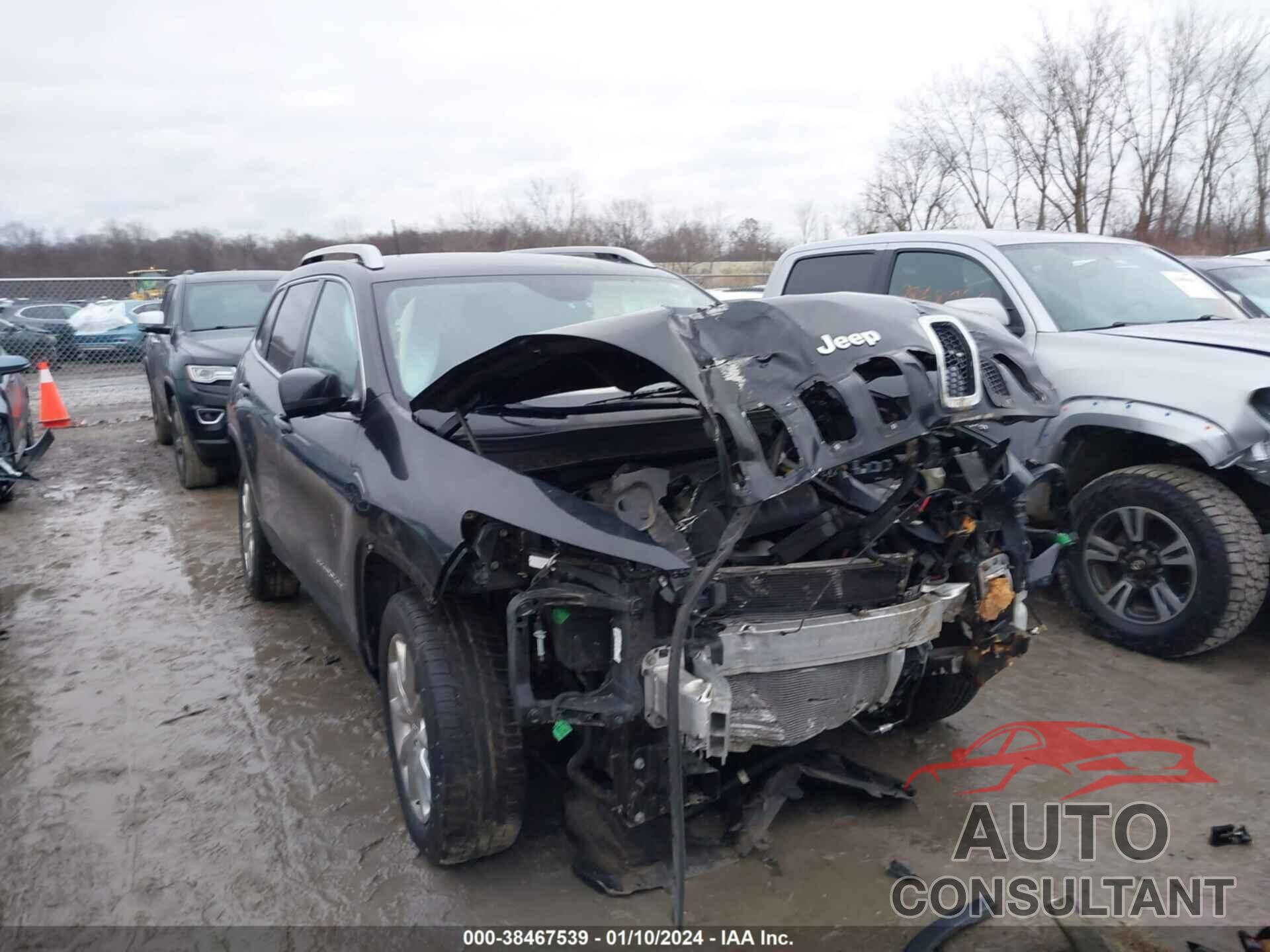 JEEP CHEROKEE 2016 - 1C4PJMDB1GW334768