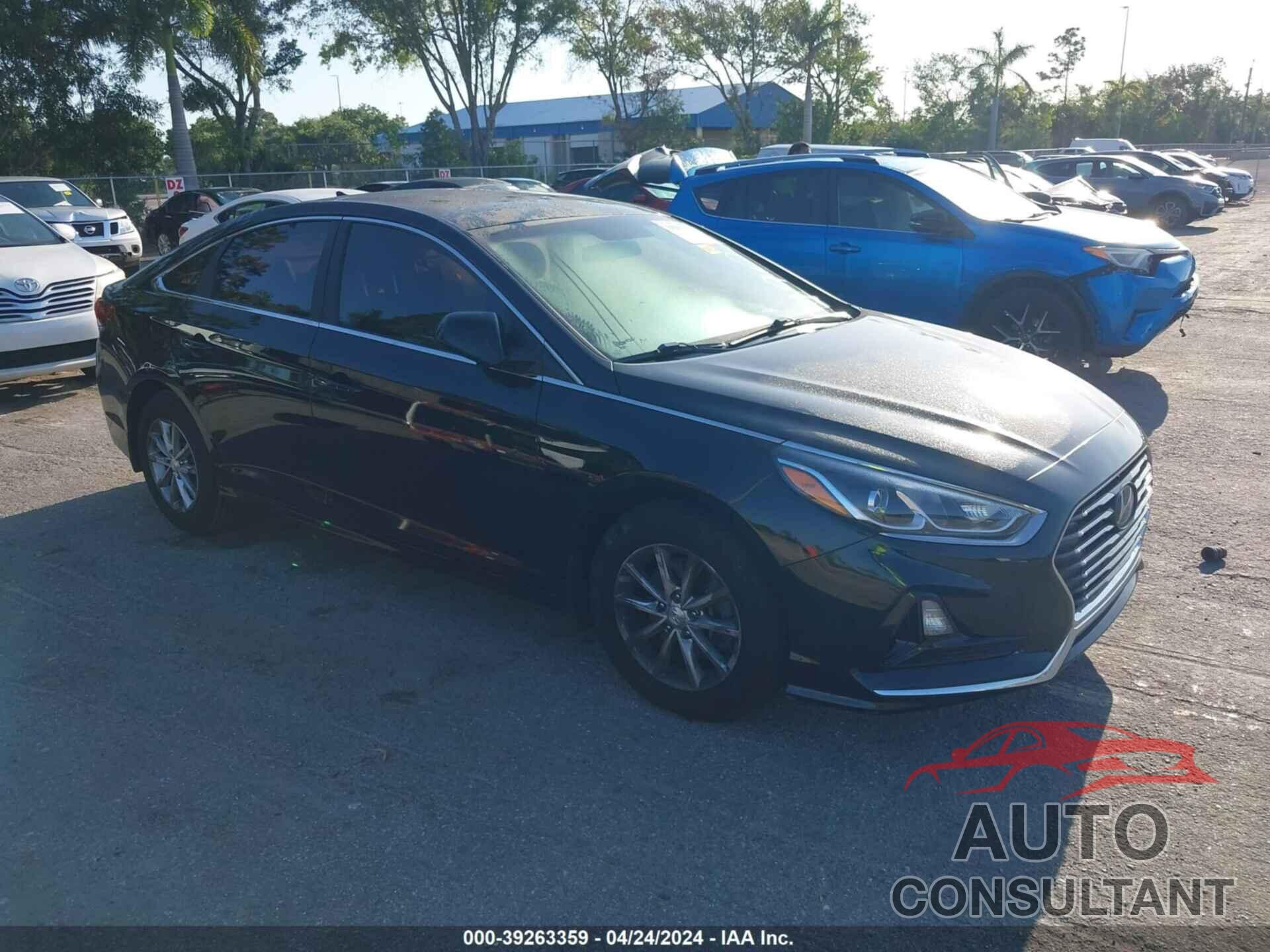 HYUNDAI SONATA 2019 - 5NPE24AF4KH791908