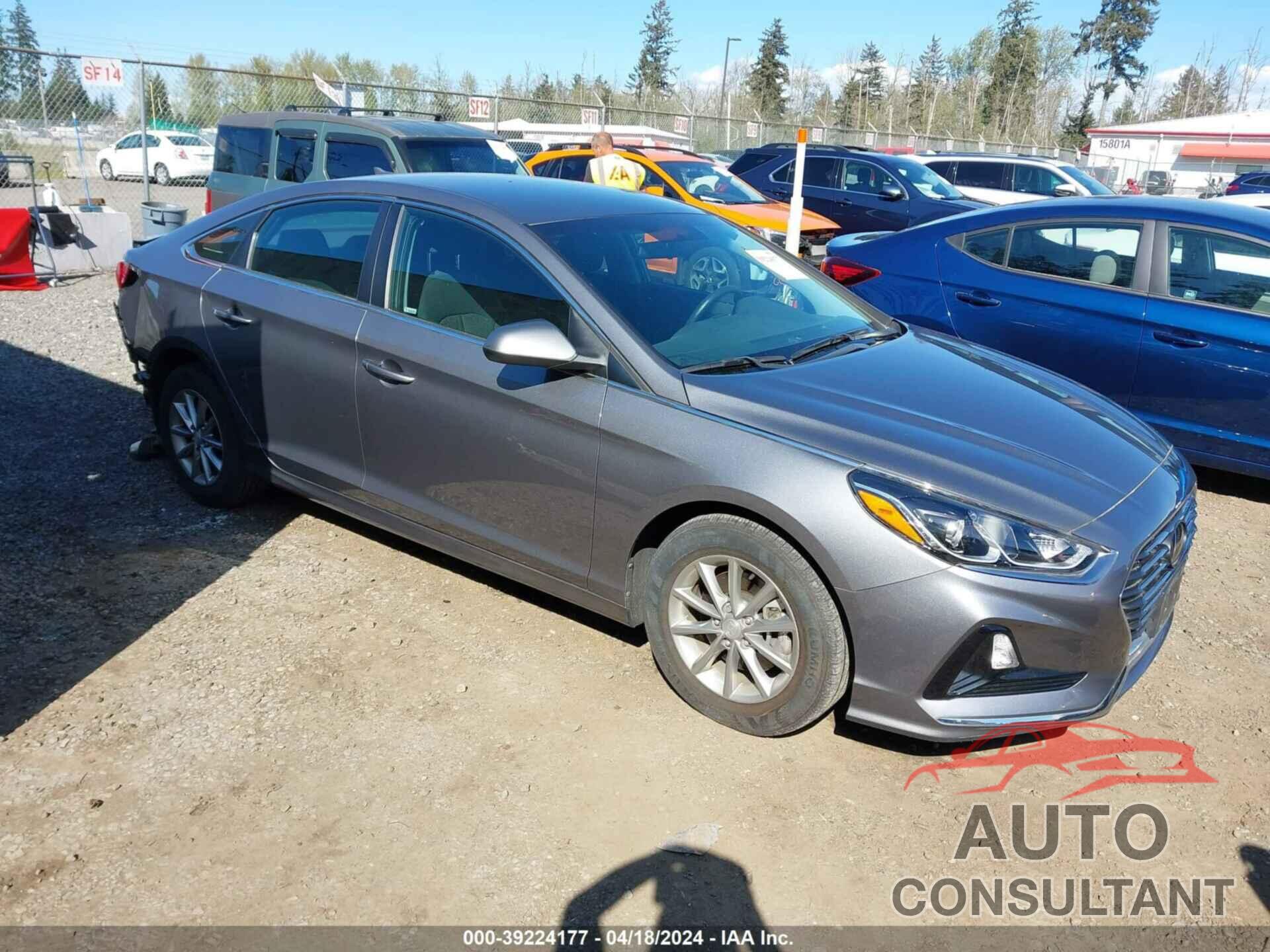 HYUNDAI SONATA 2019 - 5NPE24AF0KH762583