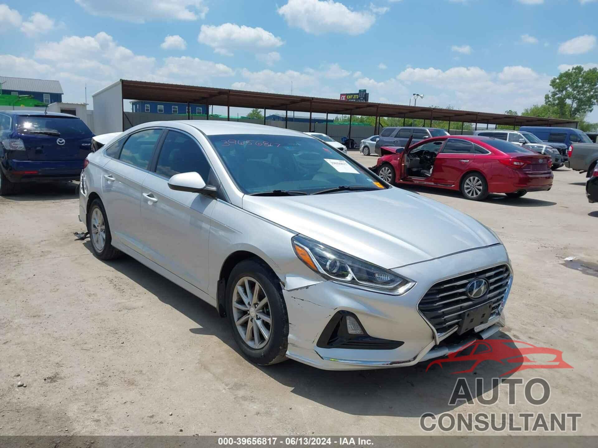 HYUNDAI SONATA 2019 - 5NPE24AFXKH804256