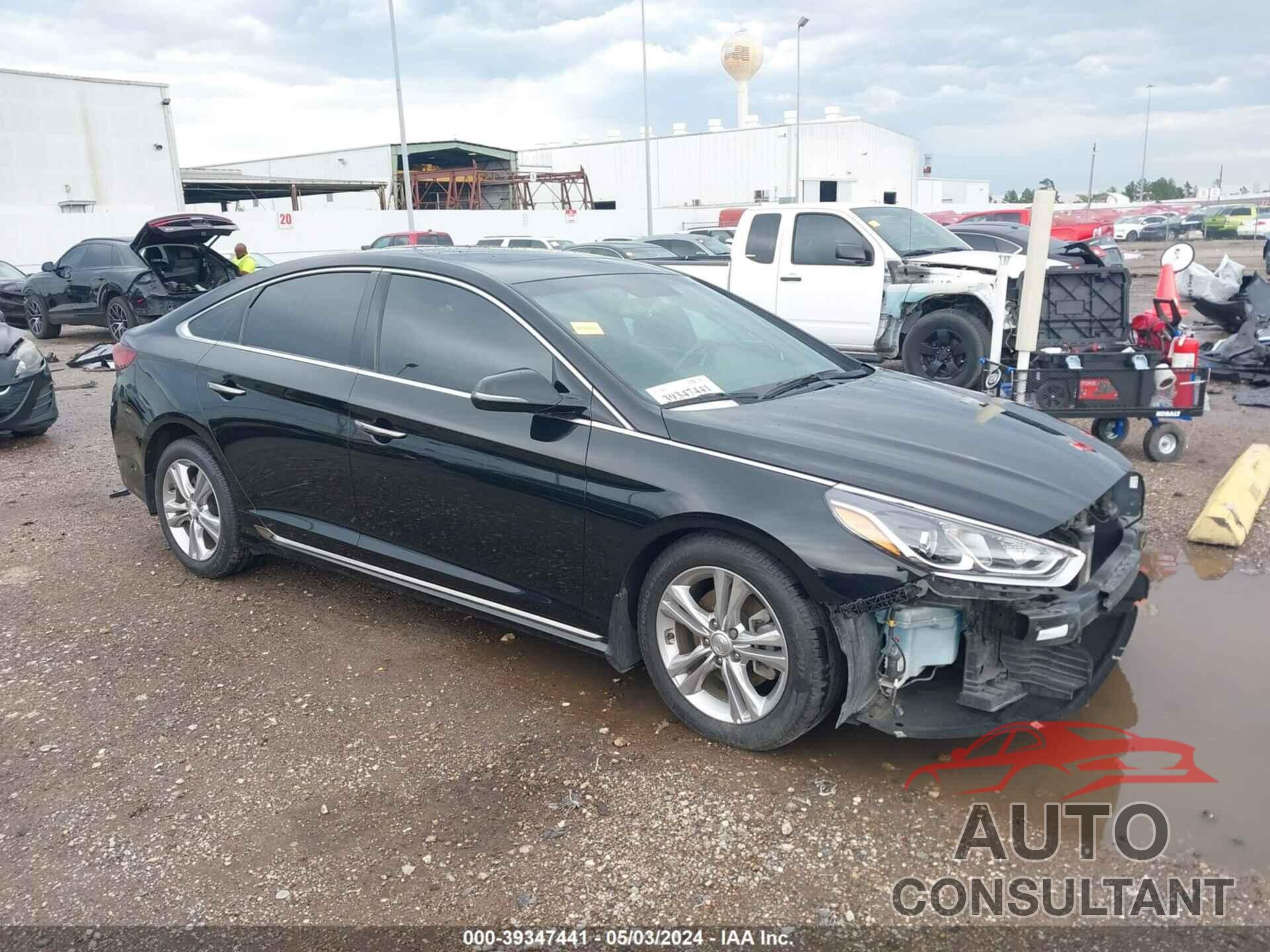 HYUNDAI SONATA 2019 - 5NPE34AF2KH758094