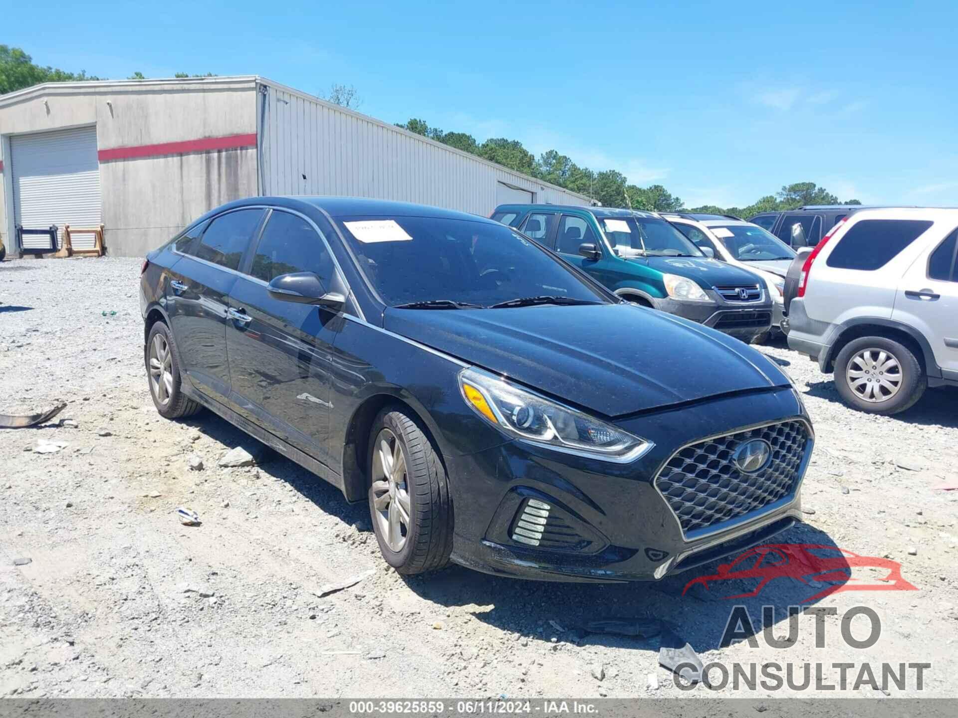 HYUNDAI SONATA 2019 - 5NPE34AF4KH784504