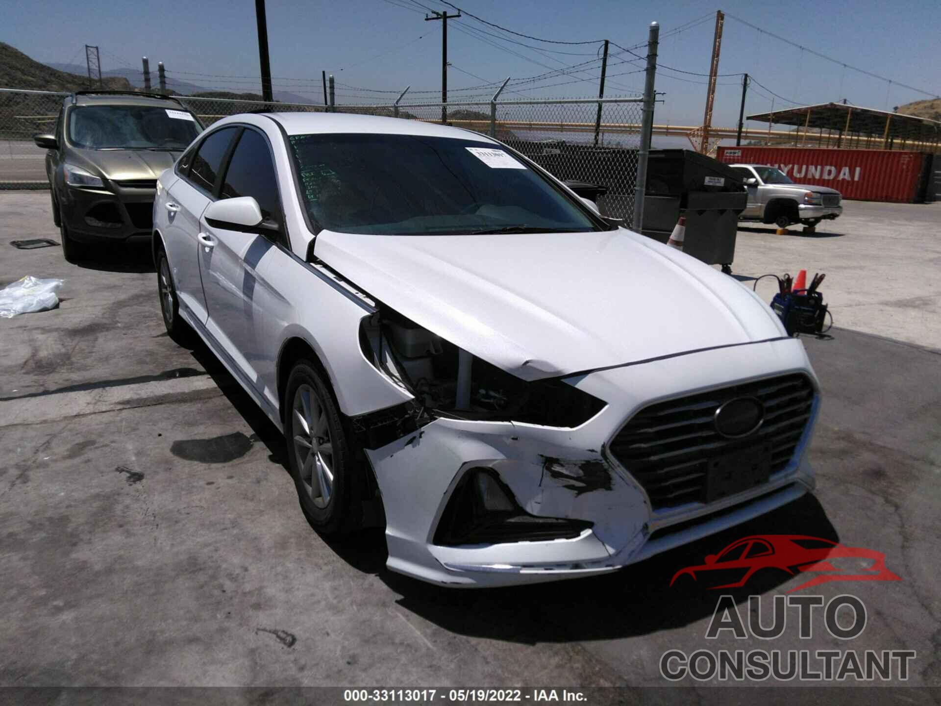 HYUNDAI SONATA 2019 - 5NPE24AF7KH745344