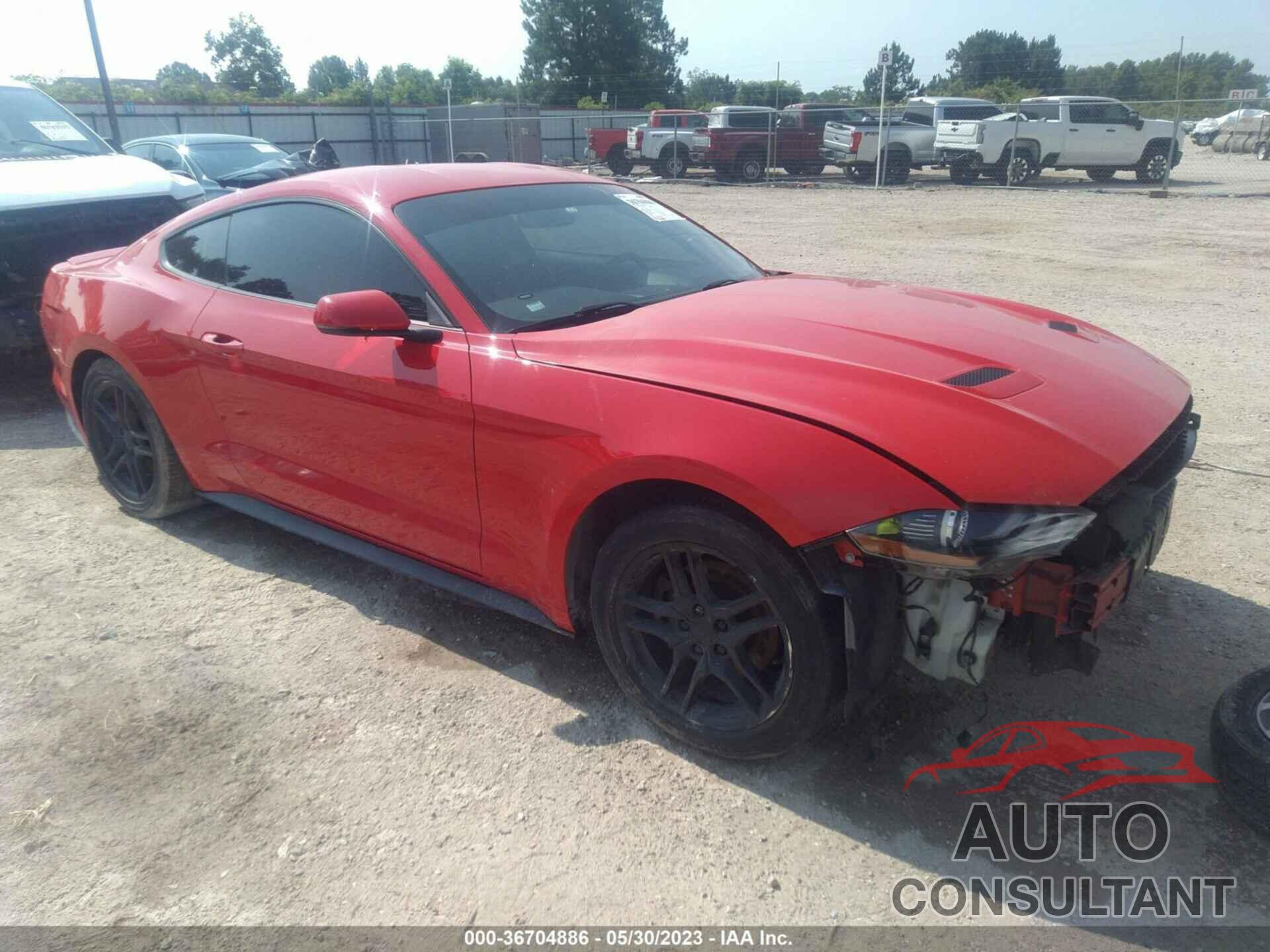 FORD MUSTANG 2019 - 1FA6P8TH8K5125197