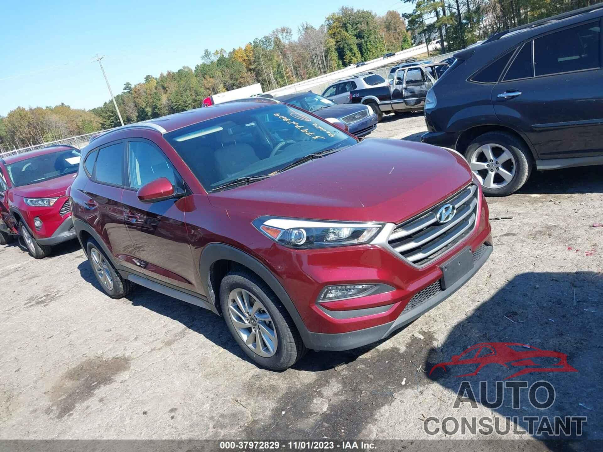 HYUNDAI TUCSON 2017 - KM8J3CA43HU453883