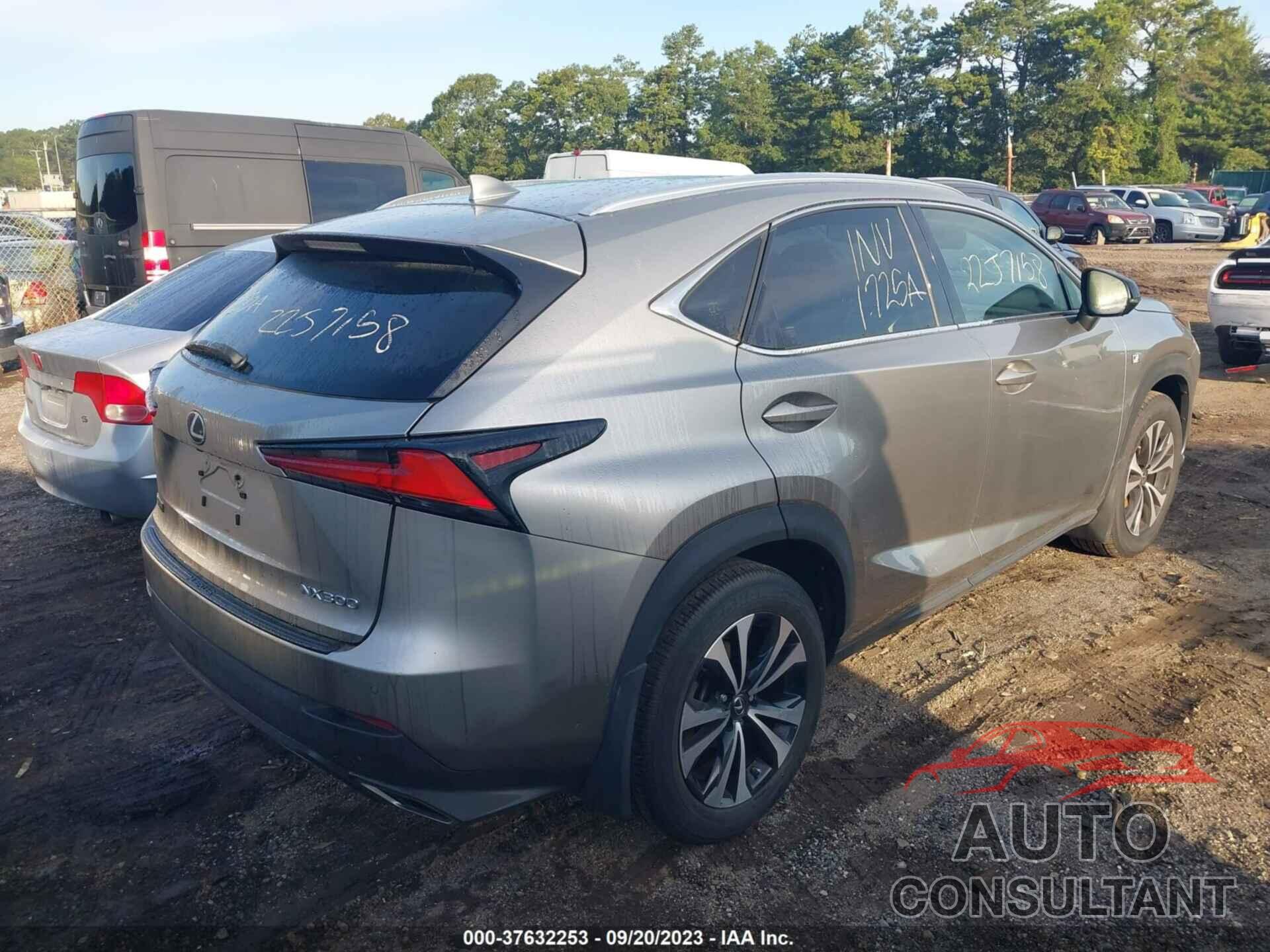 LEXUS NX 300 2019 - JTJBARBZ1K2183466