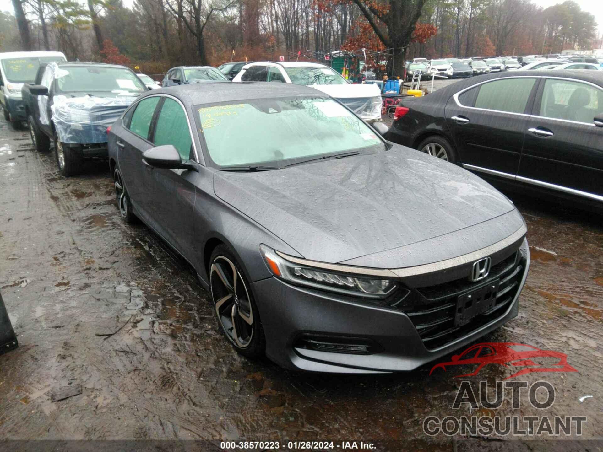HONDA ACCORD 2019 - 1HGCV1F31KA091087
