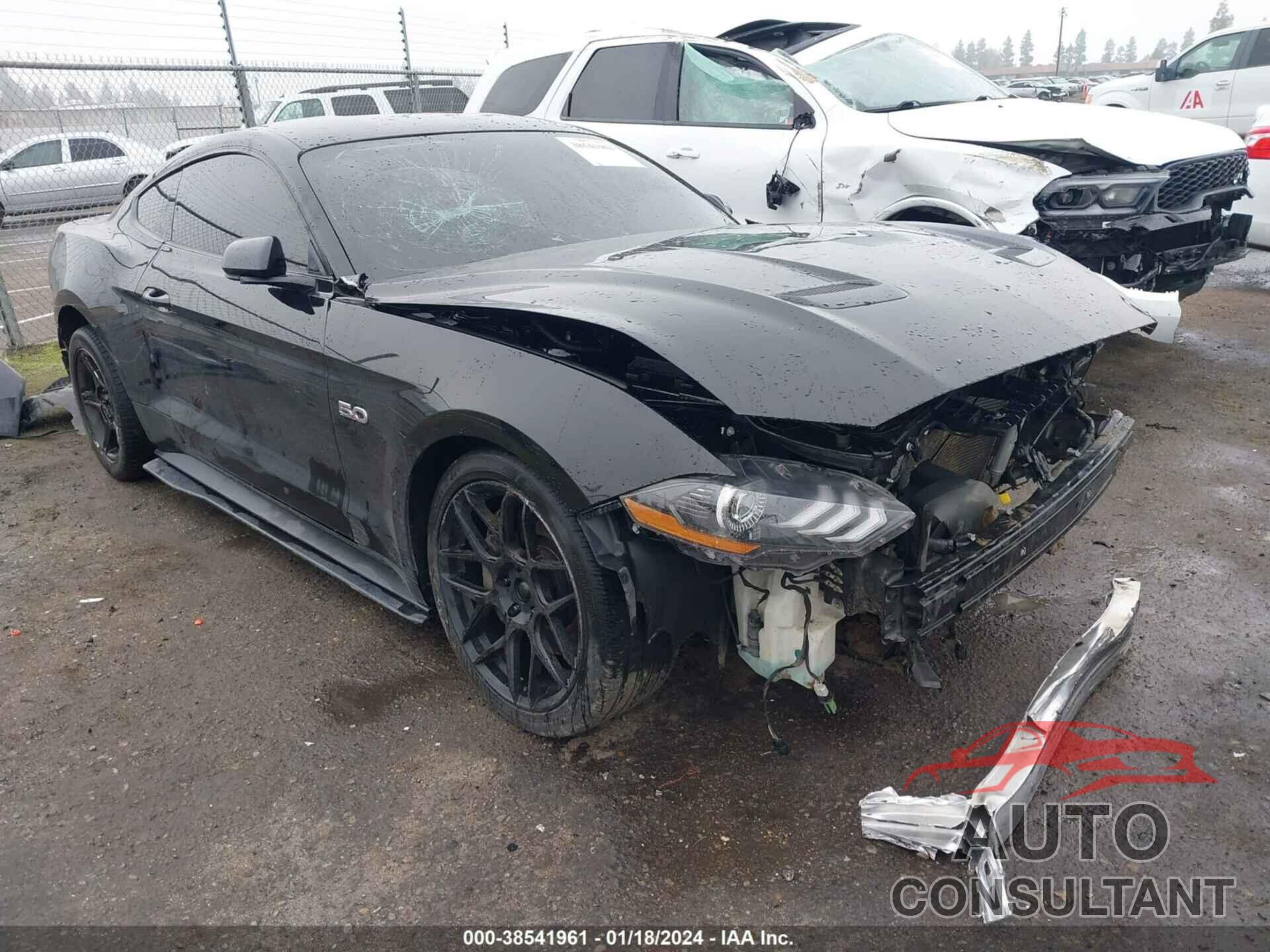 FORD MUSTANG 2019 - 1FA6P8CF5K5119310