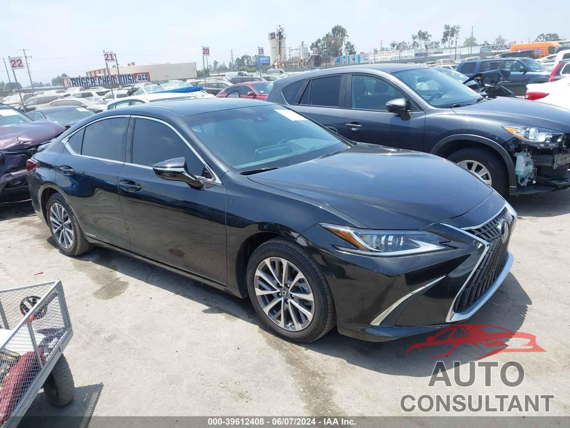 LEXUS ES 300H 2022 - 58ACA1C16NU022772