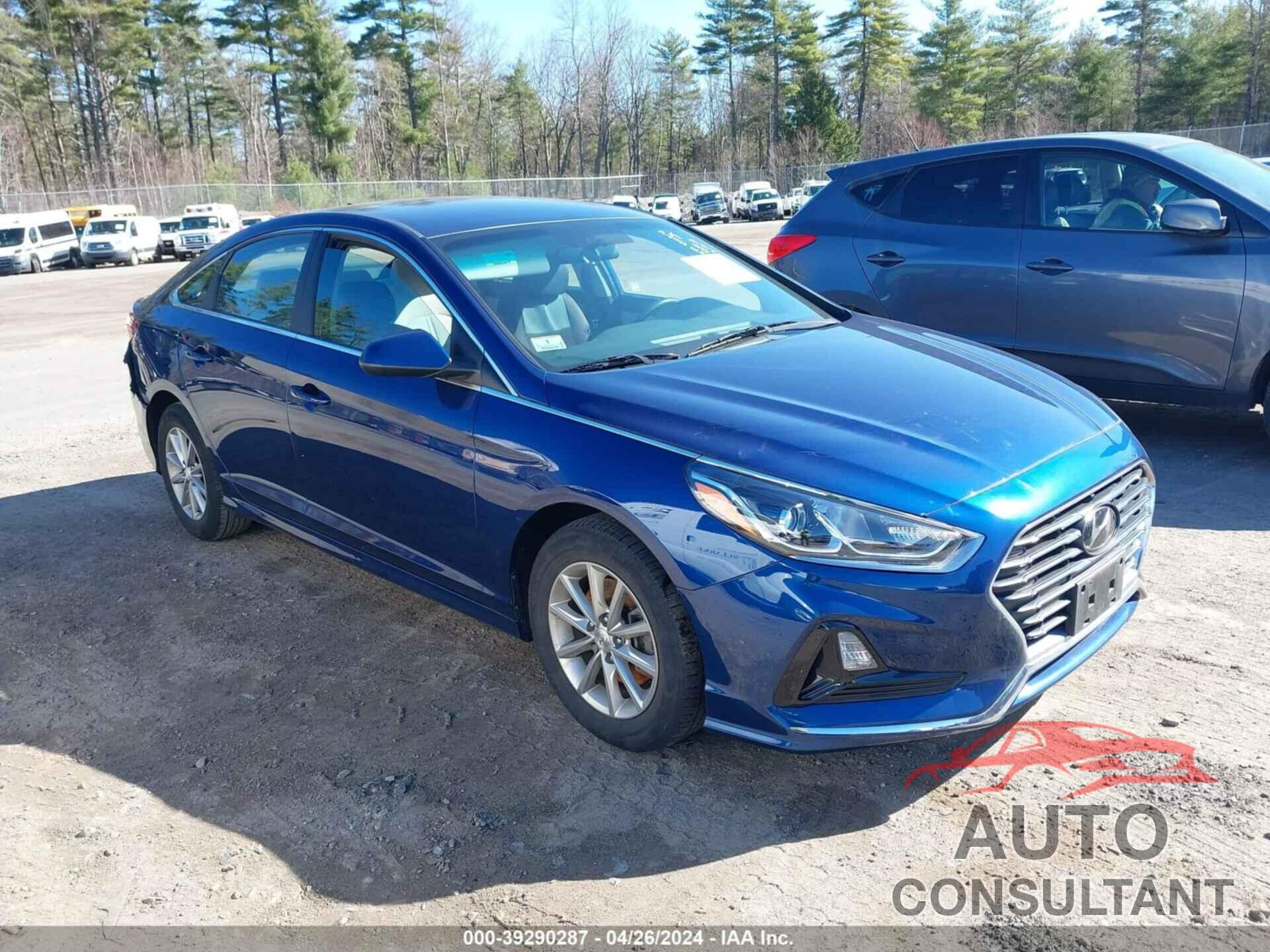 HYUNDAI SONATA 2019 - 5NPE24AF6KH744508