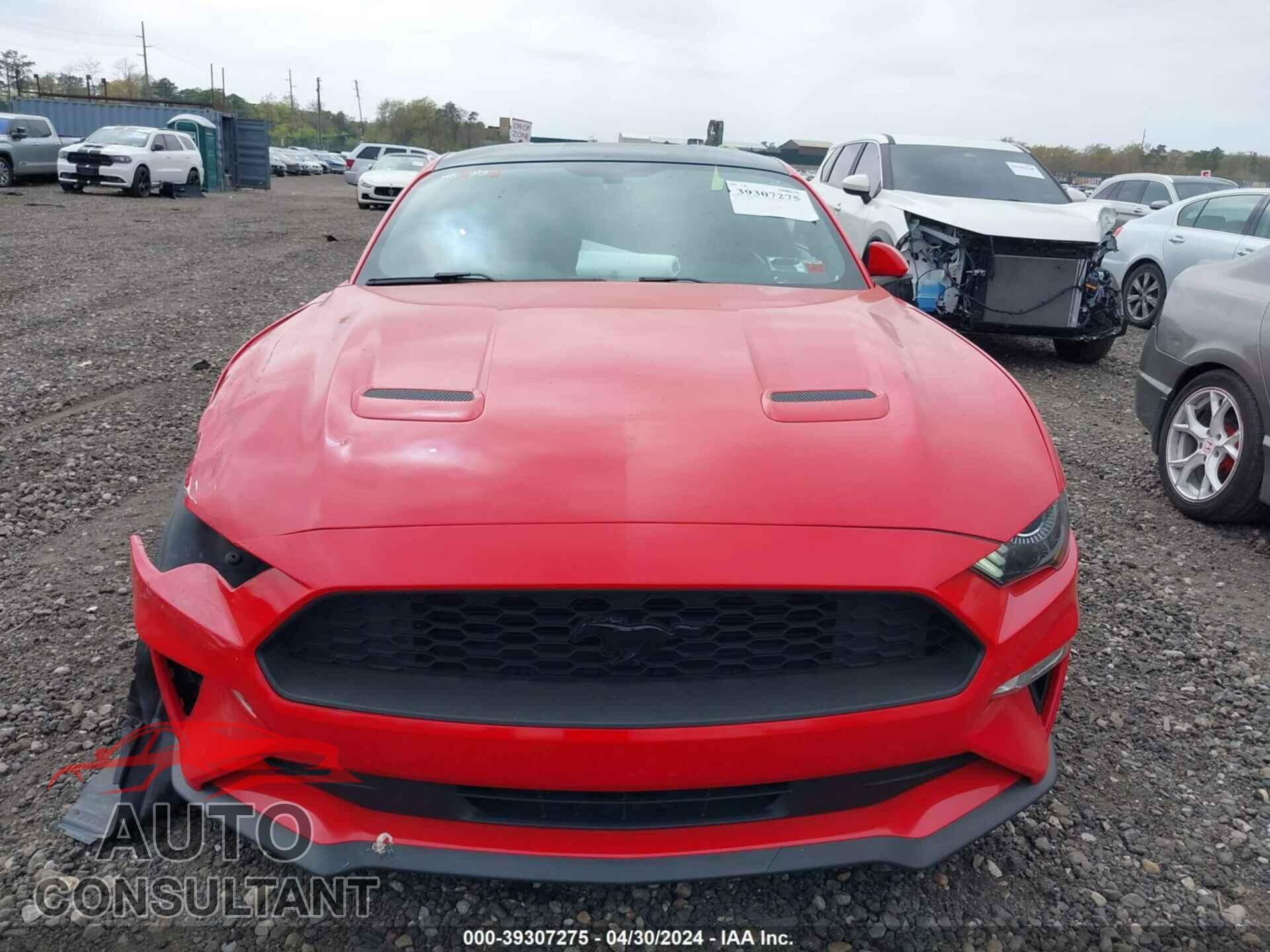 FORD MUSTANG 2019 - 1FA6P8TH1K5198802