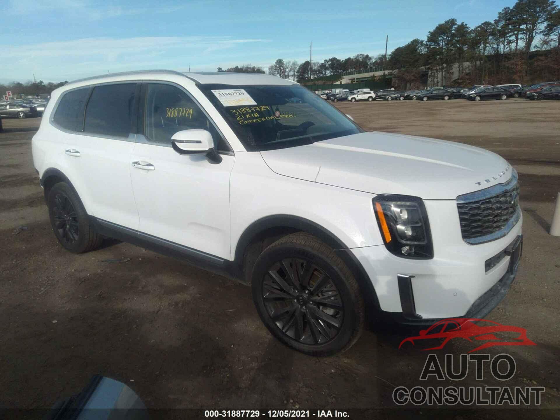 KIA TELLURIDE 2021 - 5XYP5DHCXMG131023