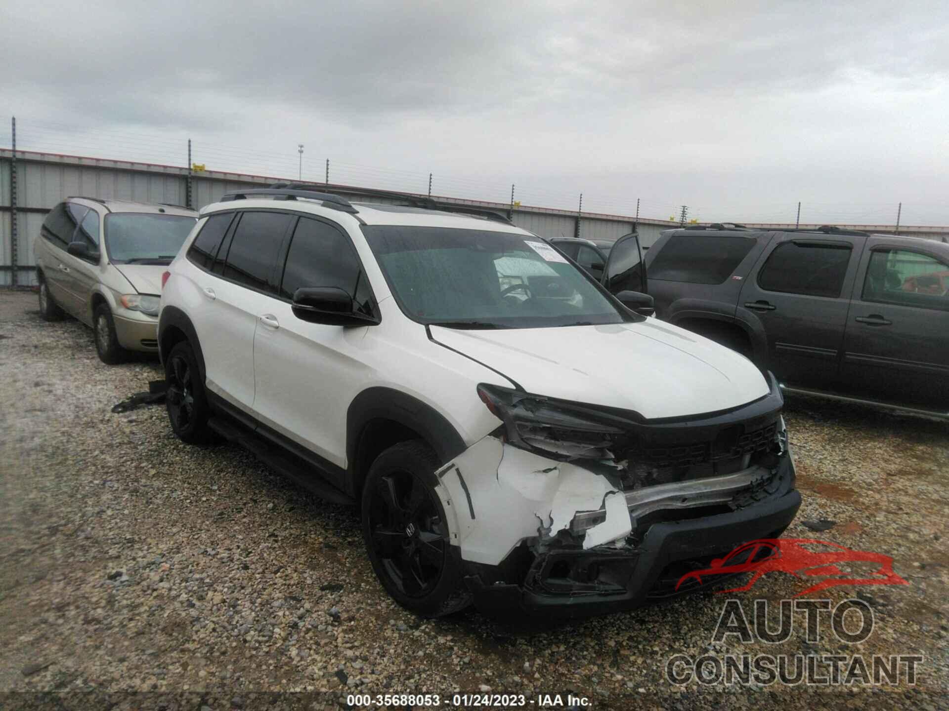 HONDA PASSPORT 2019 - 5FNYF8H04KB012841