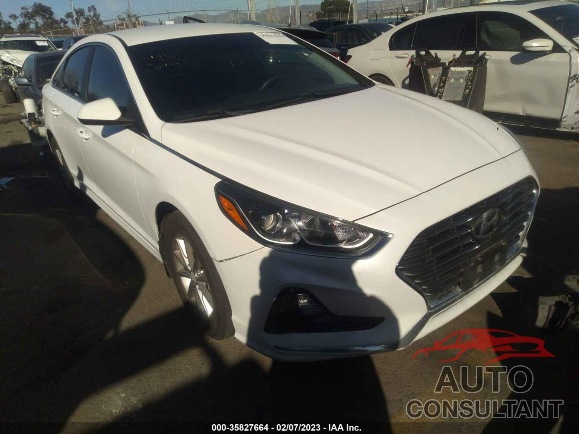 HYUNDAI SONATA 2019 - 5NPE24AF3KH777353