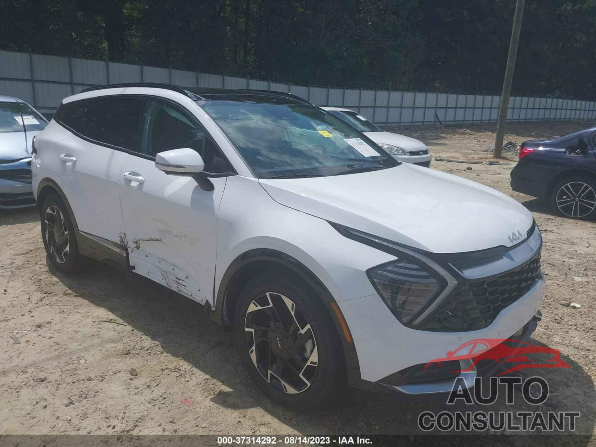 KIA SPORTAGE 2023 - 5XYK53AF1PG052854