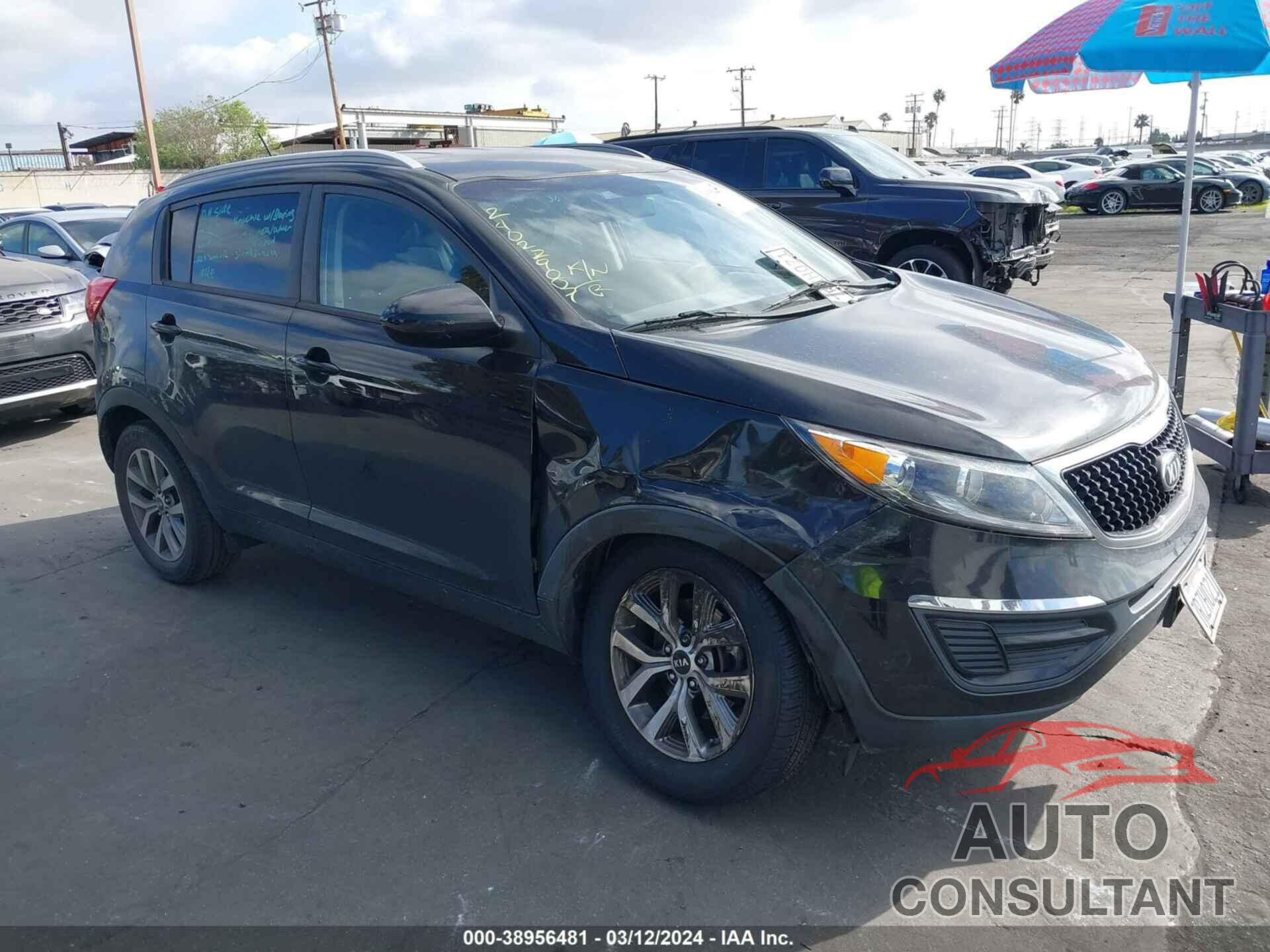 KIA SPORTAGE 2016 - KNDPB3AC4G7875134