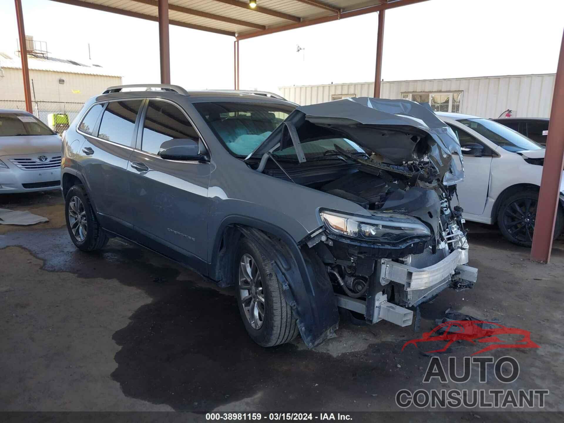 JEEP CHEROKEE 2020 - 1C4PJLLB1LD653783