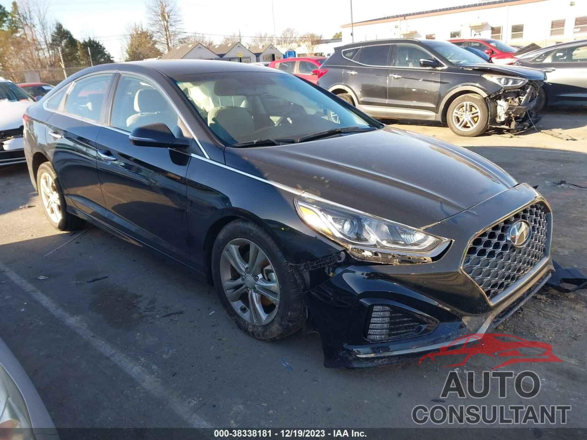 HYUNDAI SONATA 2019 - 5NPE34AF1KH791474