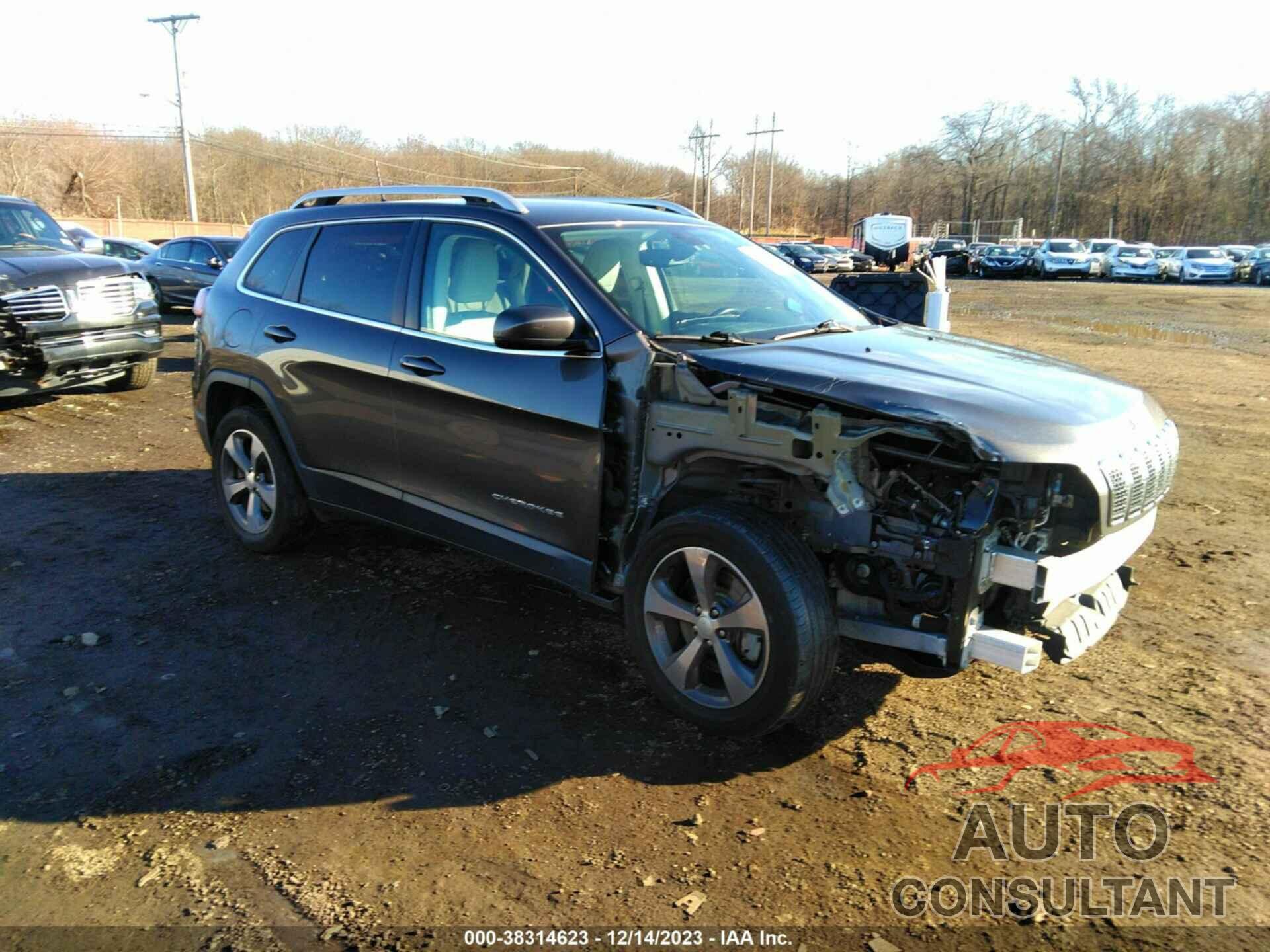 JEEP CHEROKEE 2019 - 1C4PJMDX6KD461161