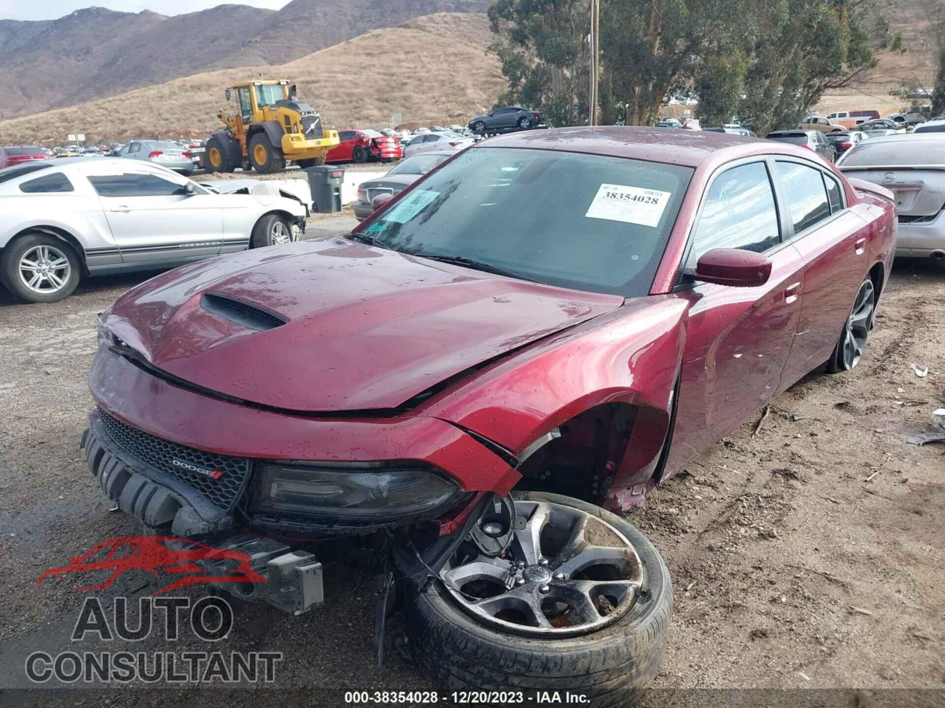 DODGE CHARGER 2019 - 2C3CDXCTXKH613150