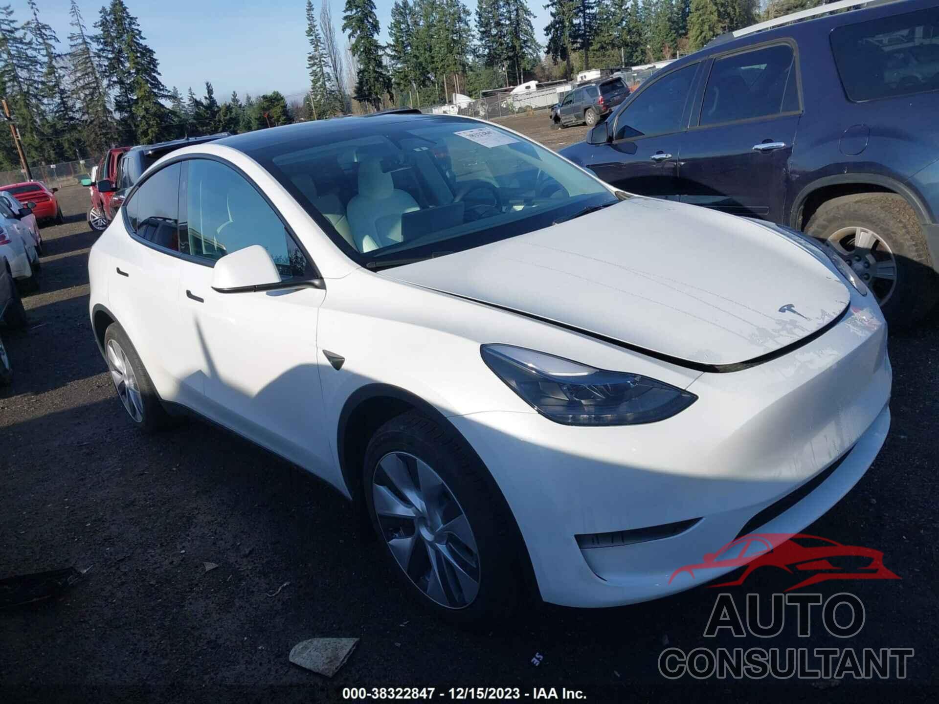 TESLA MODEL Y 2023 - 7SAYGDEE0PF850784