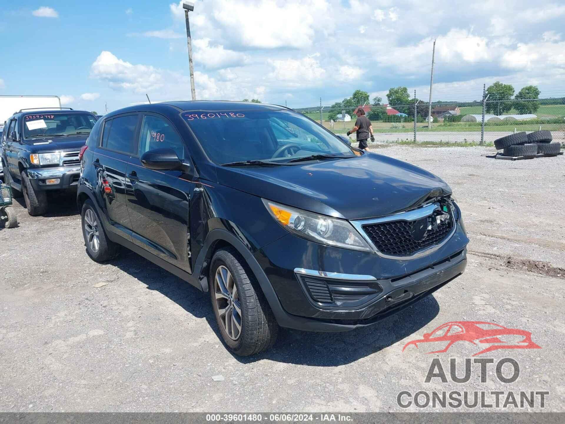 KIA SPORTAGE 2016 - KNDPBCAC1G7859859