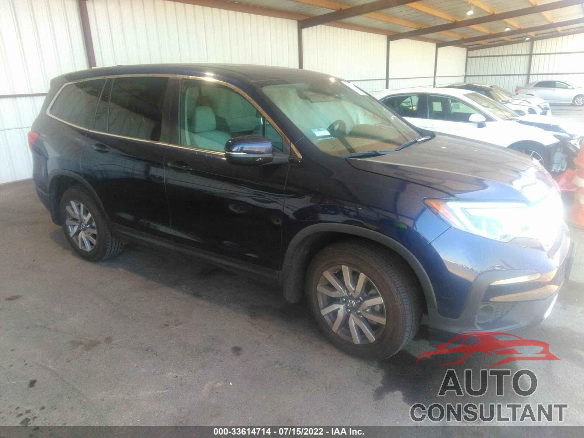 HONDA PILOT 2019 - 5FNYF5H55KB010218