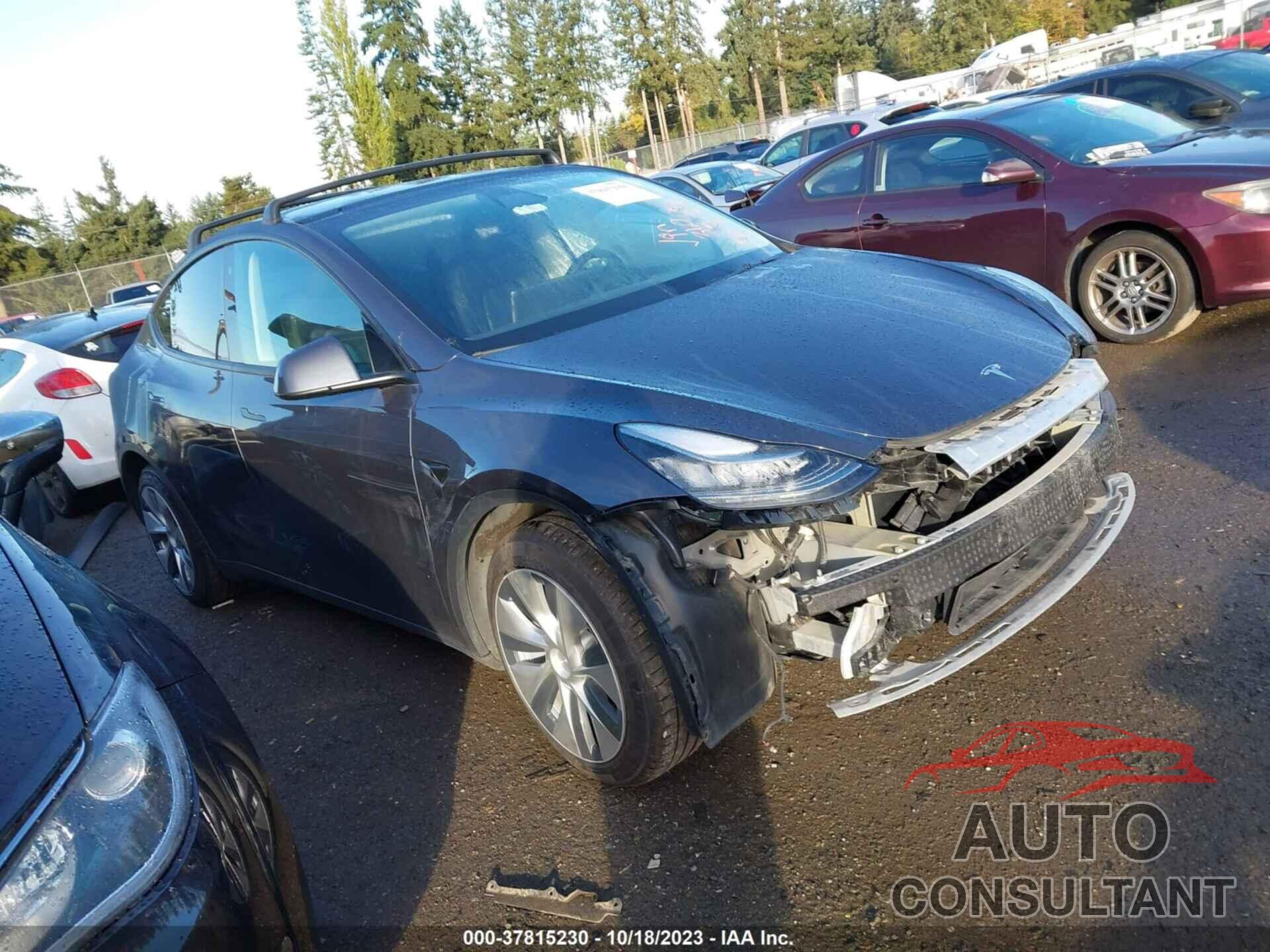 TESLA MODEL Y 2021 - 5YJYGDEE6MF295896