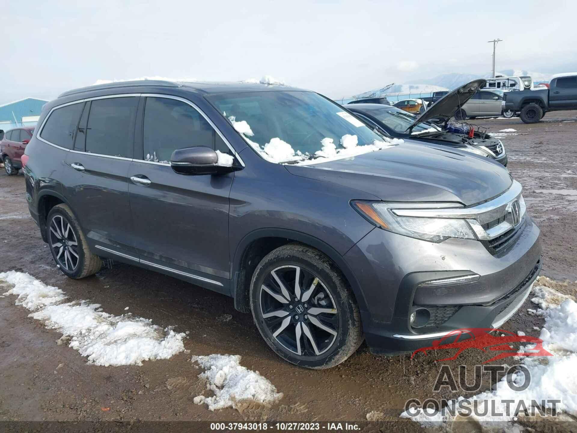 HONDA PILOT 2019 - 5FNYF6H06KB065531