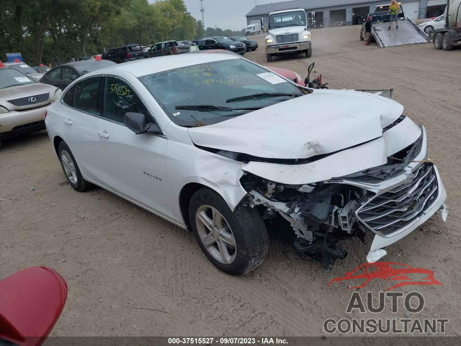 CHEVROLET MALIBU 2021 - 1G1ZB5STXMF089464