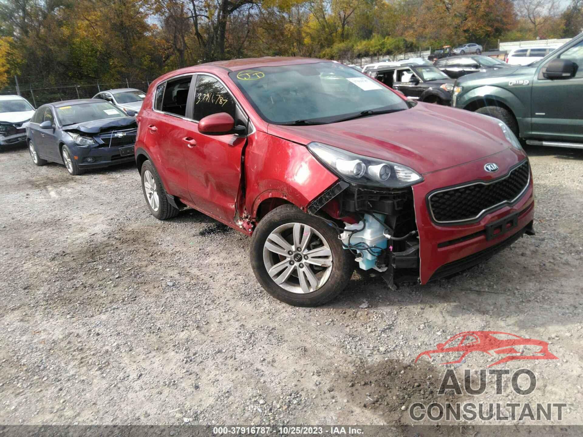 KIA SPORTAGE 2019 - KNDPM3AC4K7627162