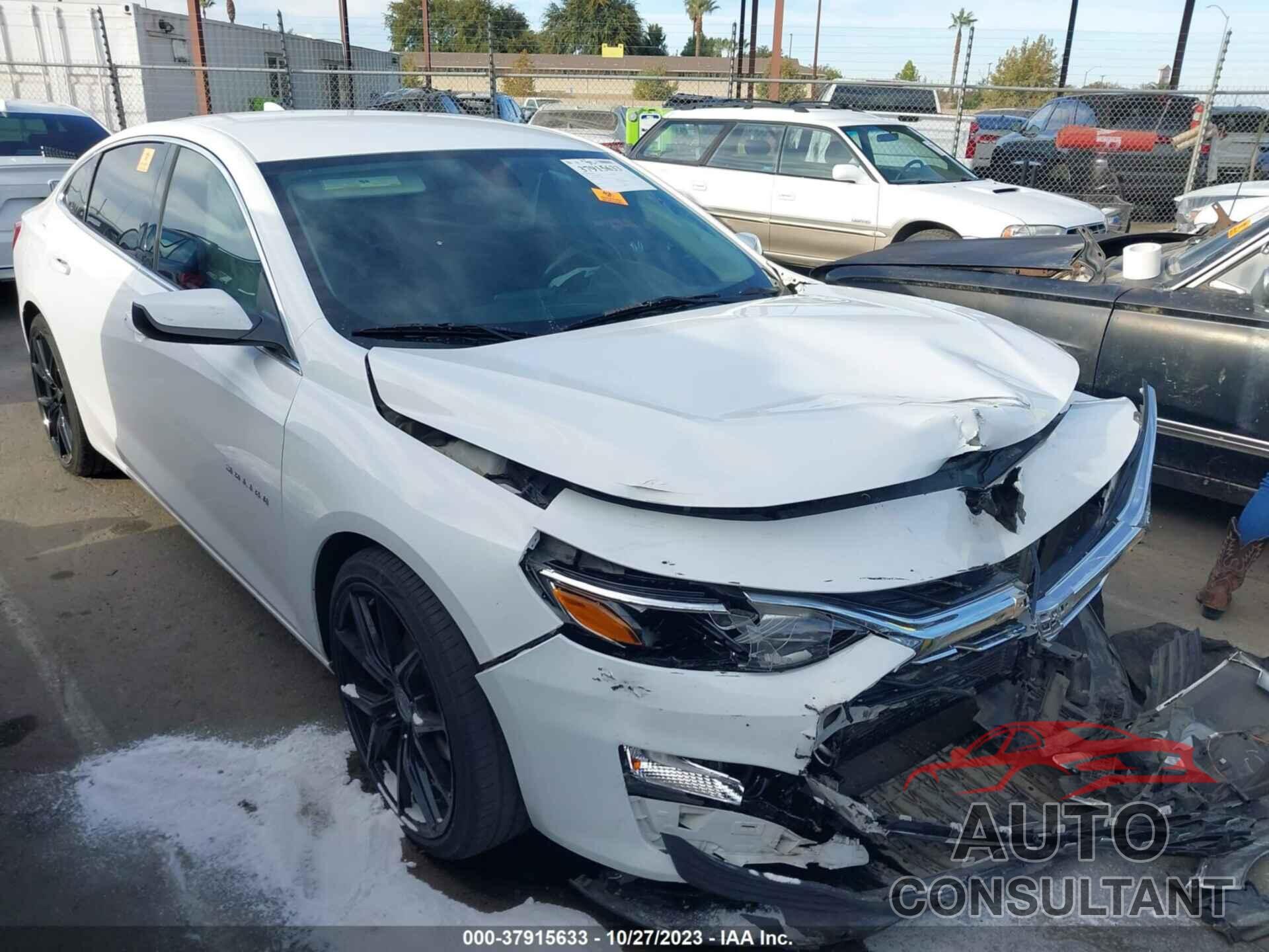 CHEVROLET MALIBU 2019 - 1G1ZD5STXKF169788