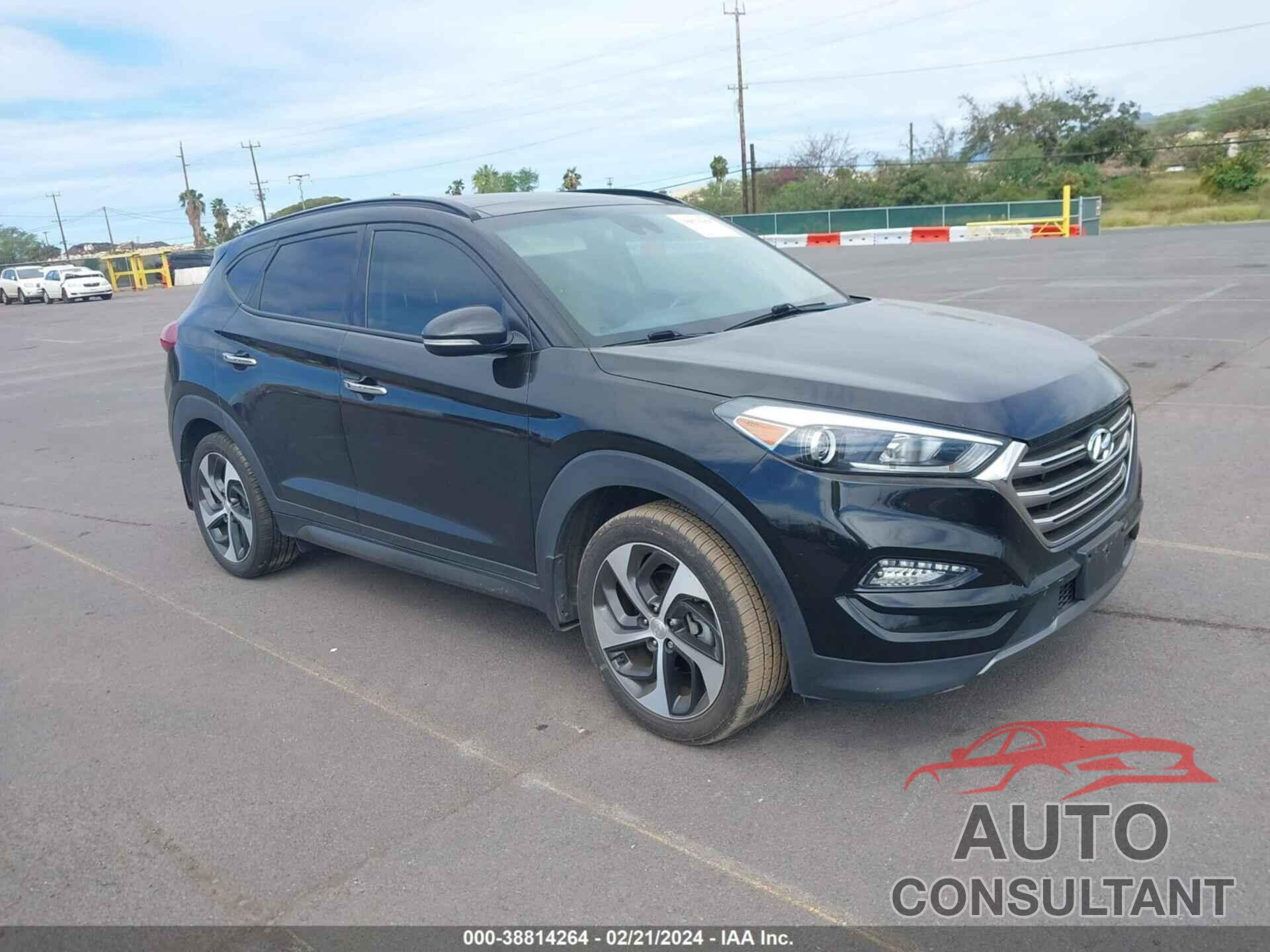 HYUNDAI TUCSON 2016 - KM8J33A26GU266666