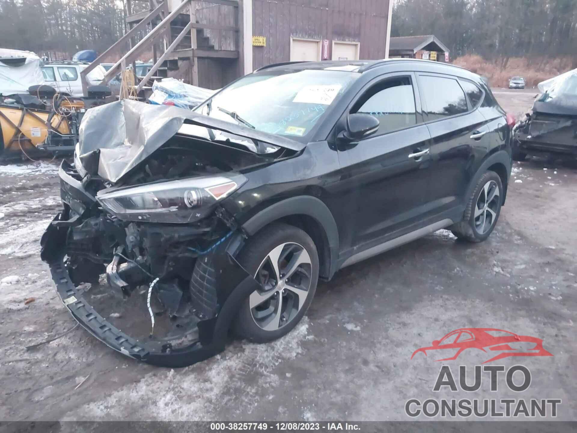 HYUNDAI TUCSON 2017 - KM8J3CA29HU293149