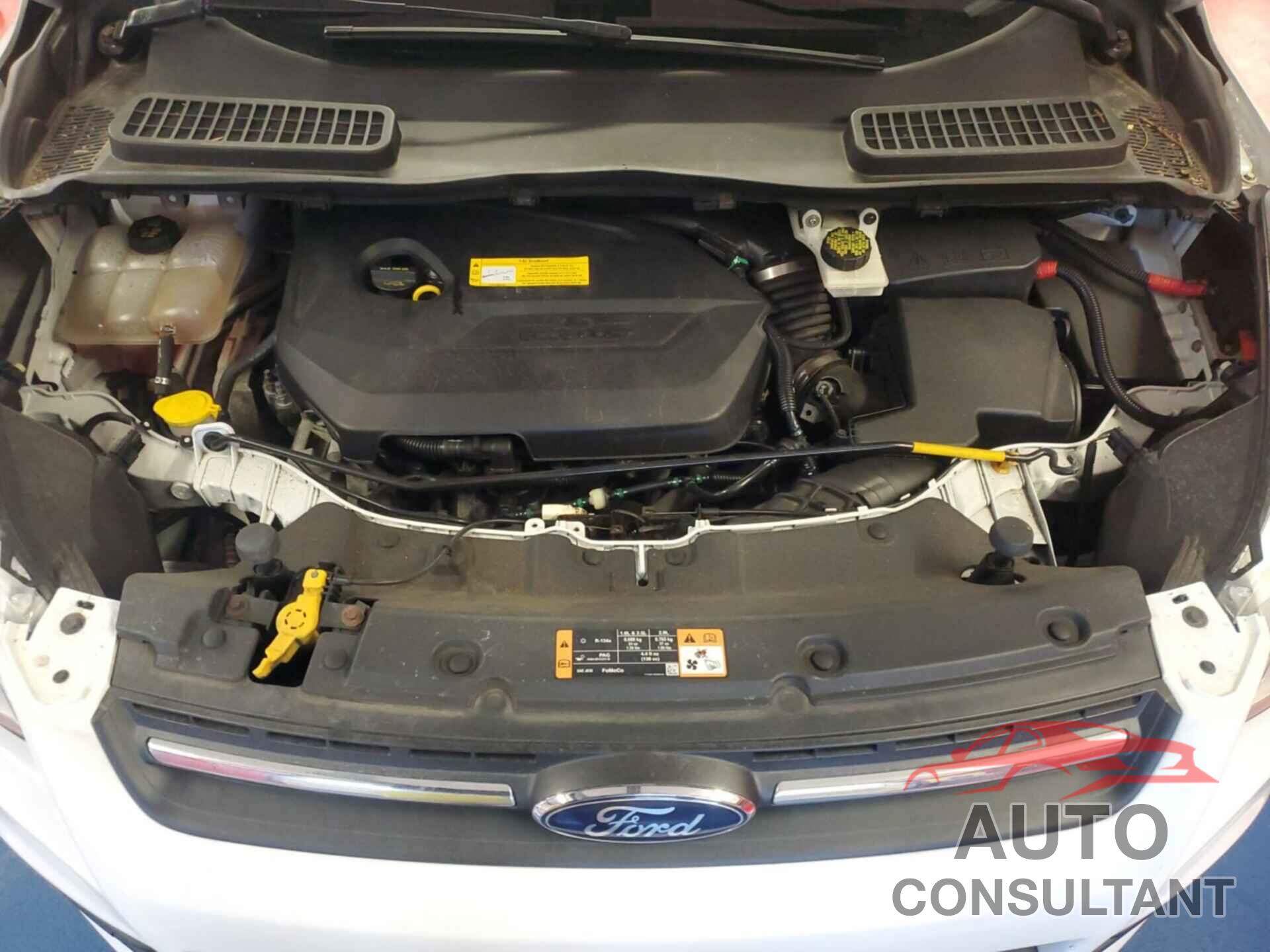 FORD ESCAPE 2016 - 1FMCU0GX7GUC82835